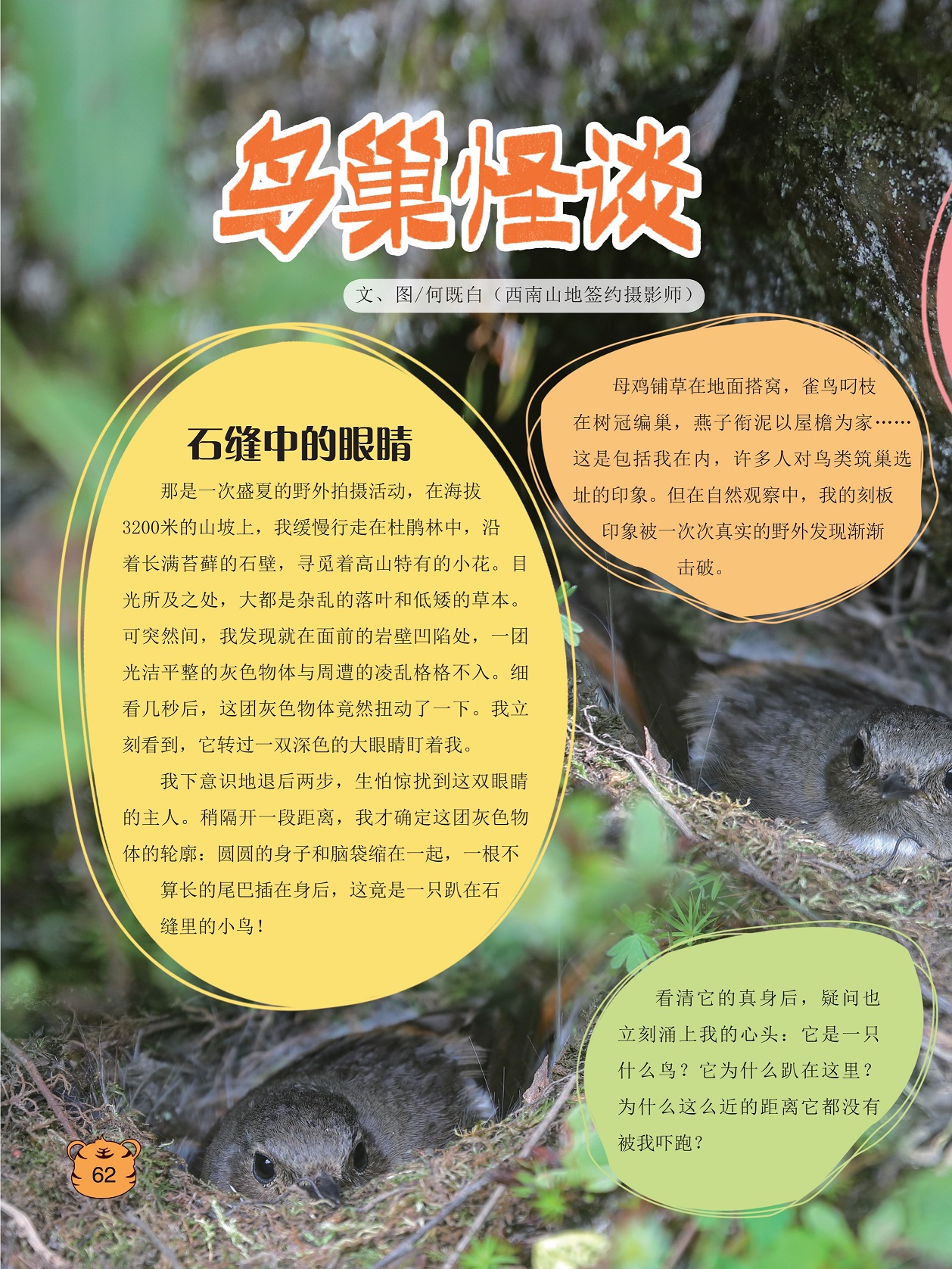 盛夏的野外拍摄活动,燕子衔泥以屋檐为家