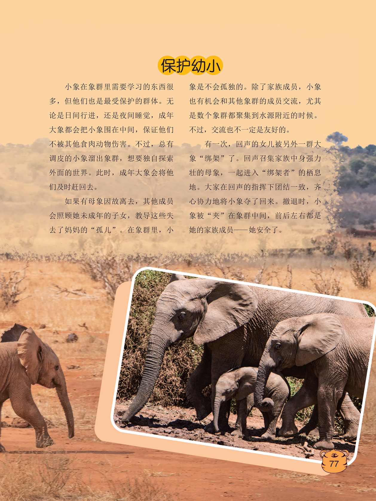 小象在象群里需要学习的东西很多,小象溜出象群独自探索外面的世界