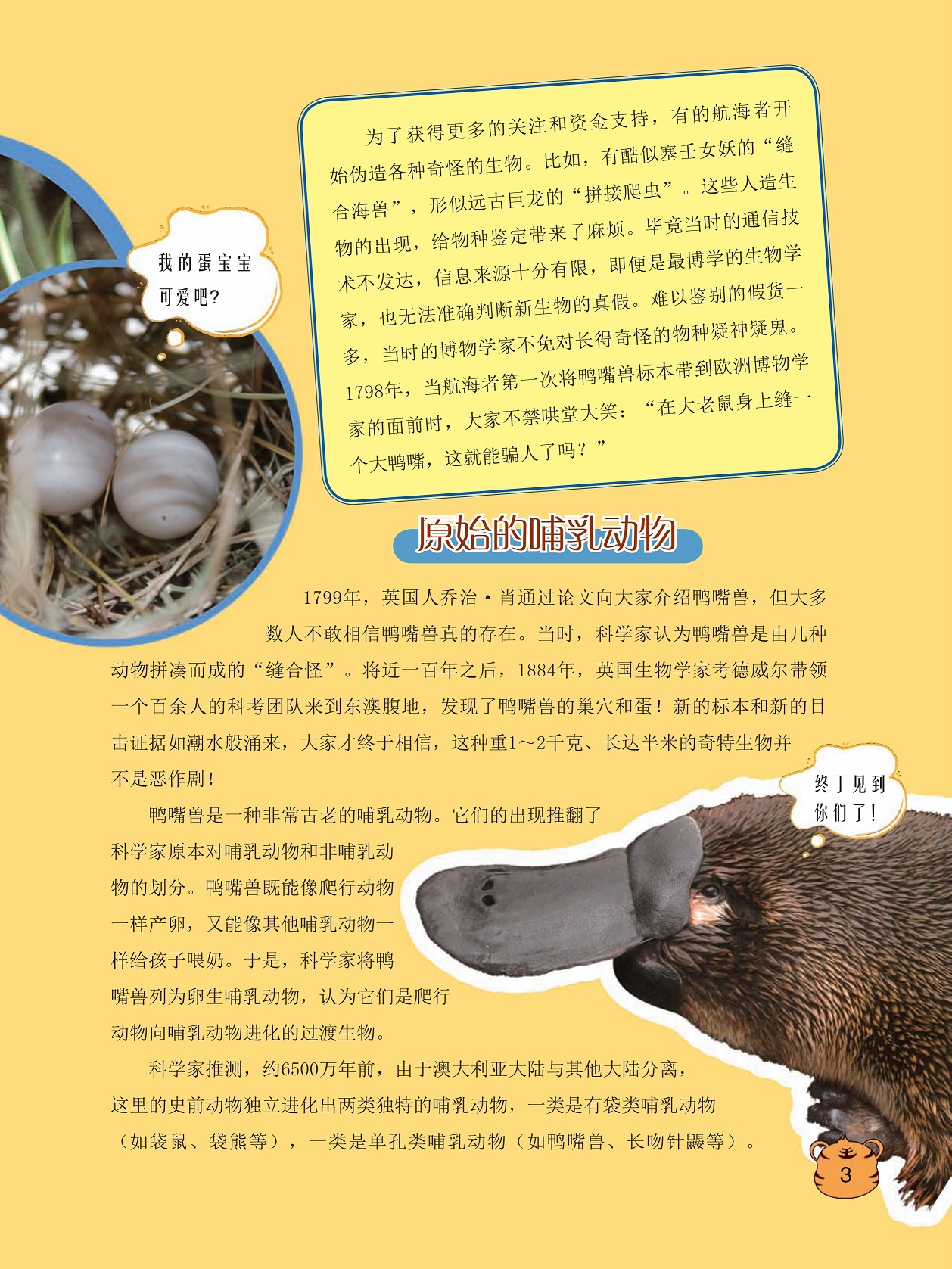 原始的哺乳动物,鸭嘴兽是一种非常古老的哺乳动物