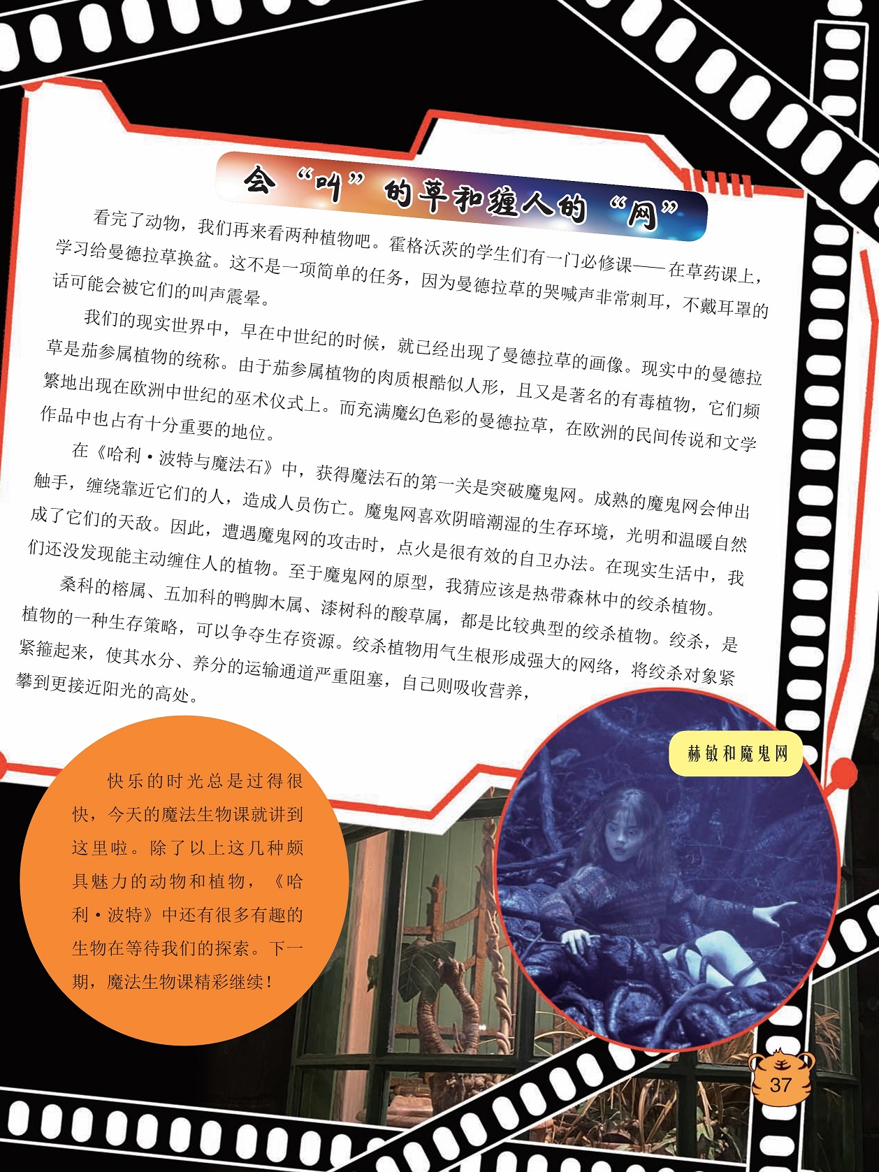 曼德拉草的哭喊声非常刺耳,充满魔幻色彩的曼德拉草