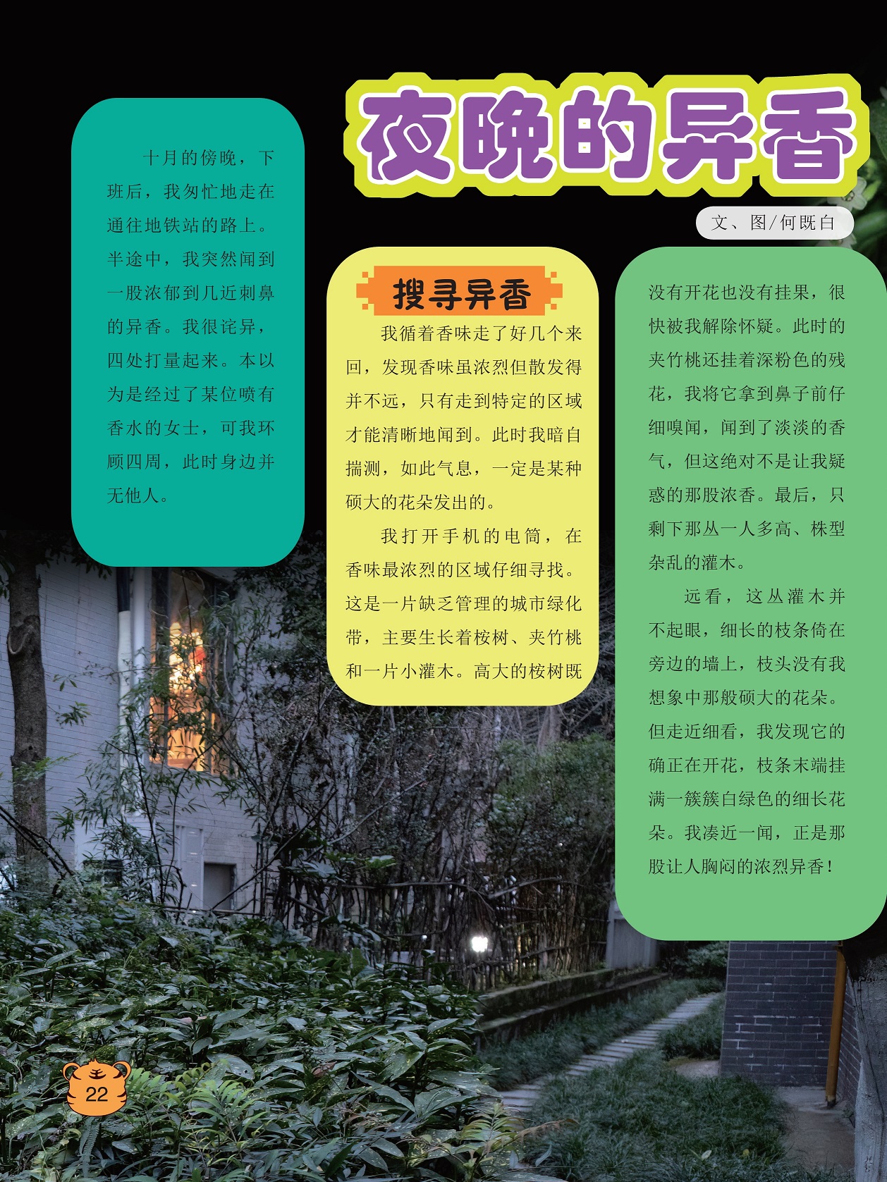 夹竹桃挂着深粉色的残花,灌木枝条末端挂满一簇簇白绿色的细长花朵