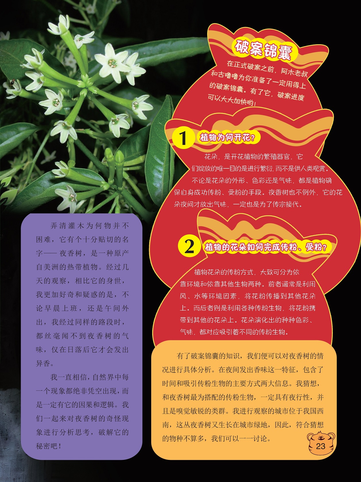 花朵是开花植物的繁殖器官,夜香树是一种原产自美洲的热带植物