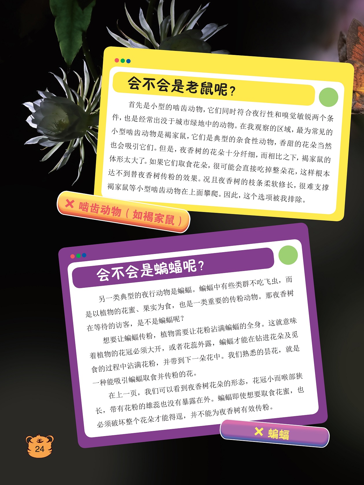 经常出没于城市绿地中的动物,蝙蝠传粉时植物需要让花粉沾满蝙蝠的全身