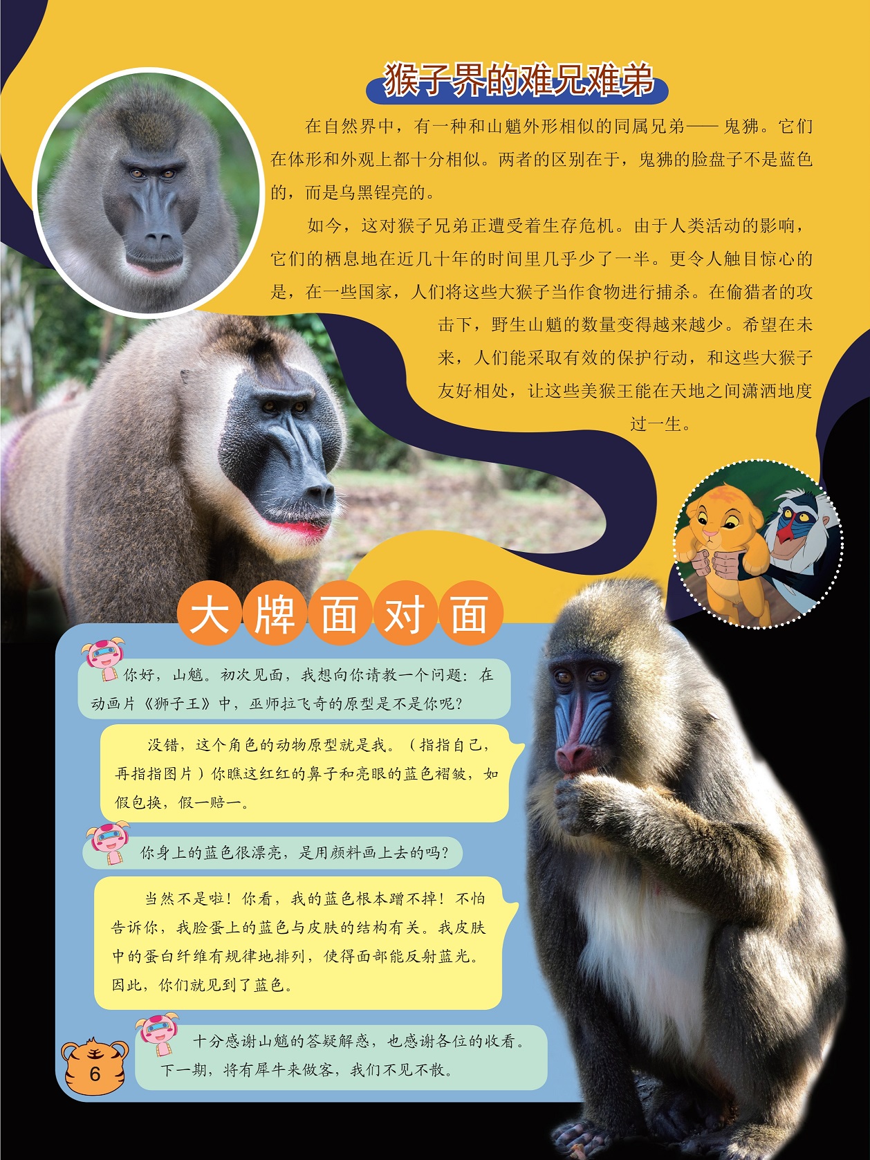 猴子界的难兄难弟,和山魈外形相似的同属兄弟鬼狒