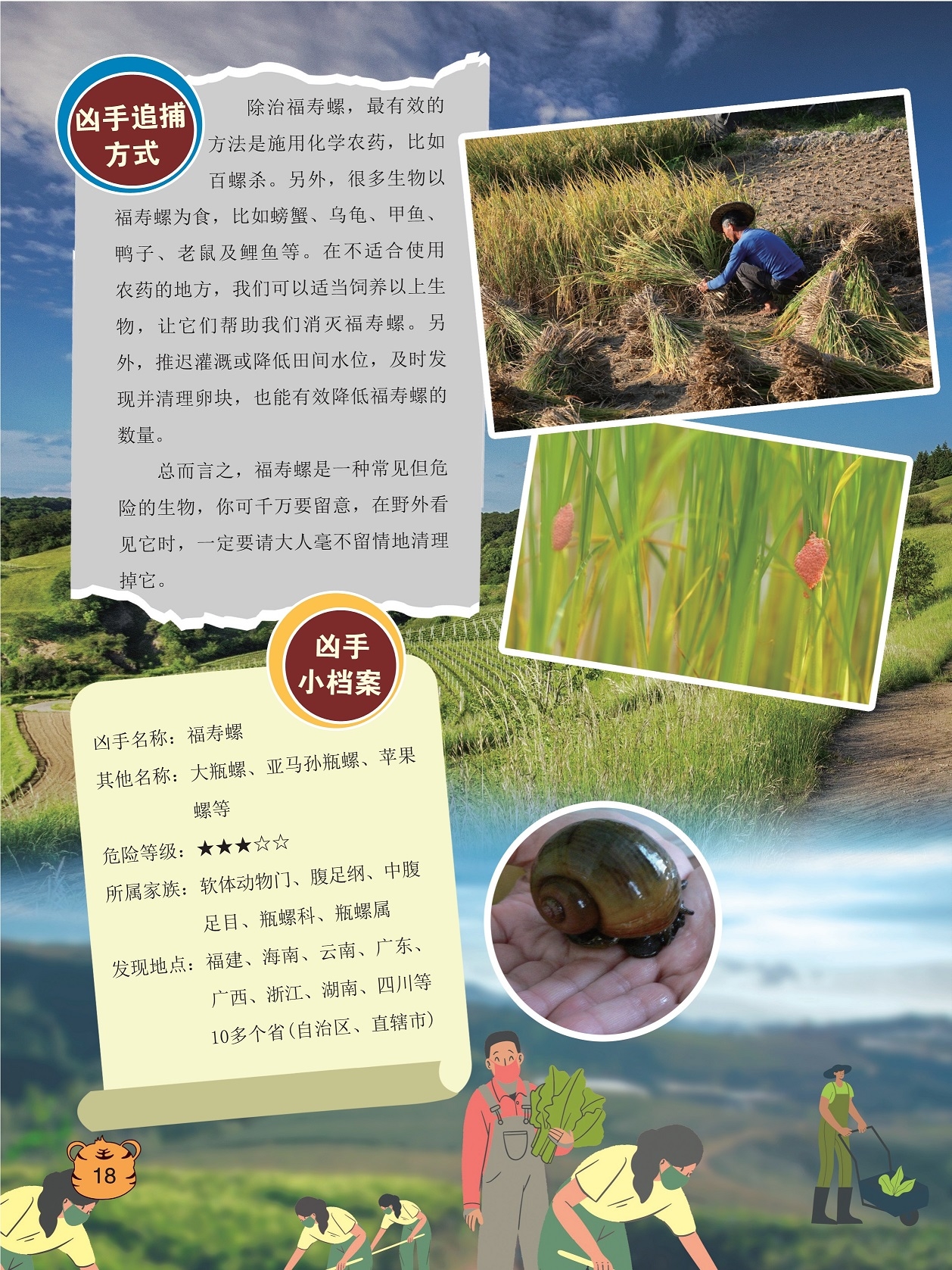 施用化学农药除治福寿螺,福寿螺是一种常见但危险的生物