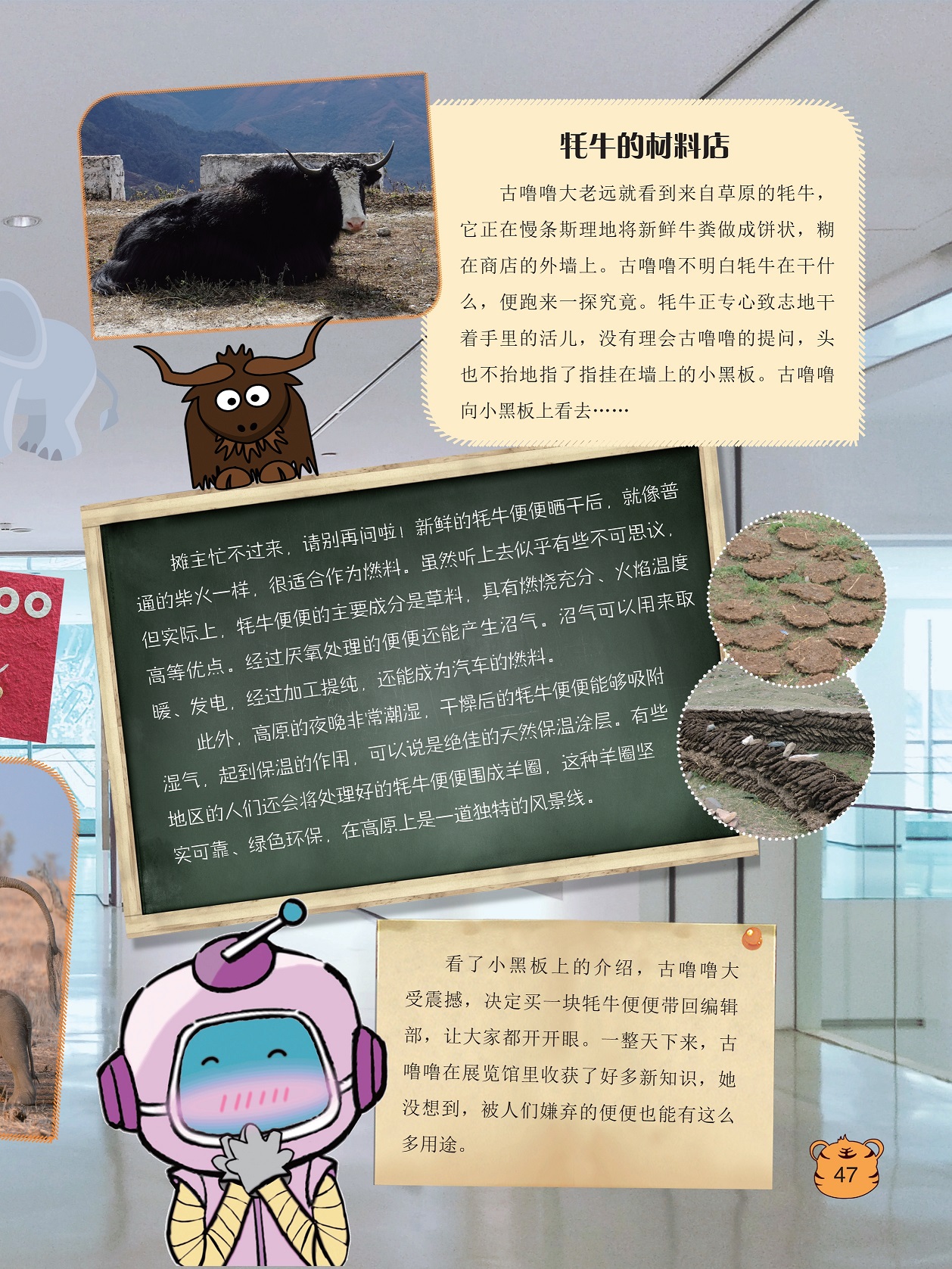 新鲜的牦牛便便晒干后很适合作为燃料,牛便便的主要成分是草料