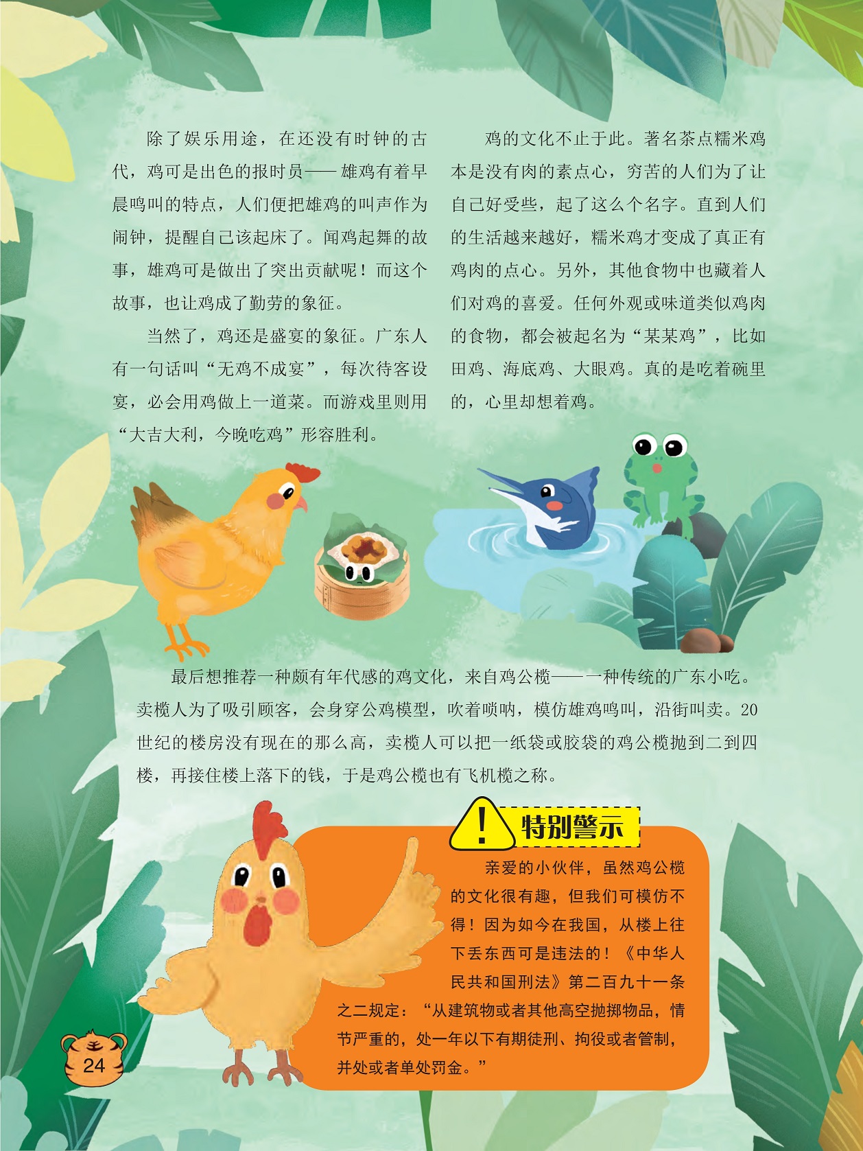 鸡是出色的报时员,鸡公榄也有飞机榄之称