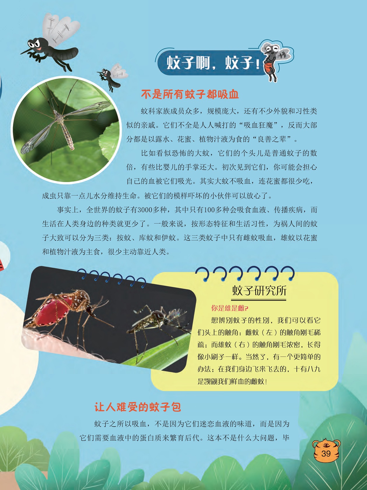 不是所有蚊子都吸血,让人难受的蚊子包