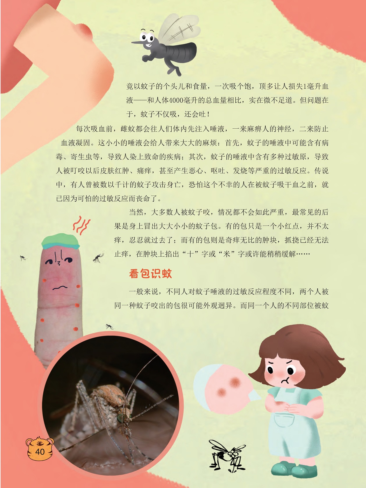 蚊子唾液会给人带来大大的麻烦,蚊子的唾液中含有多种过敏原