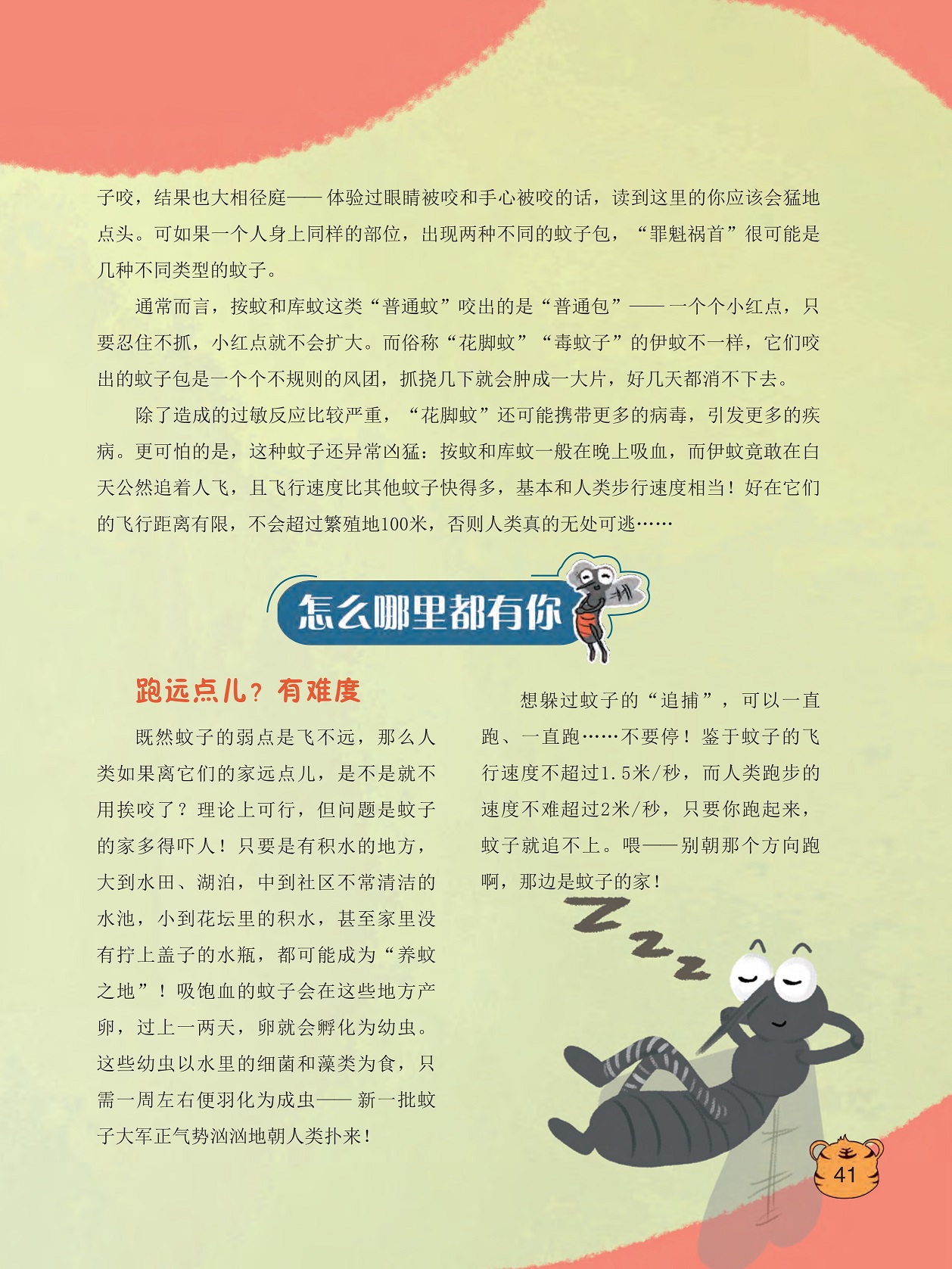 “花脚蚊”可能携带更多的病毒,蚊子幼虫以水里的细菌和藻类为食