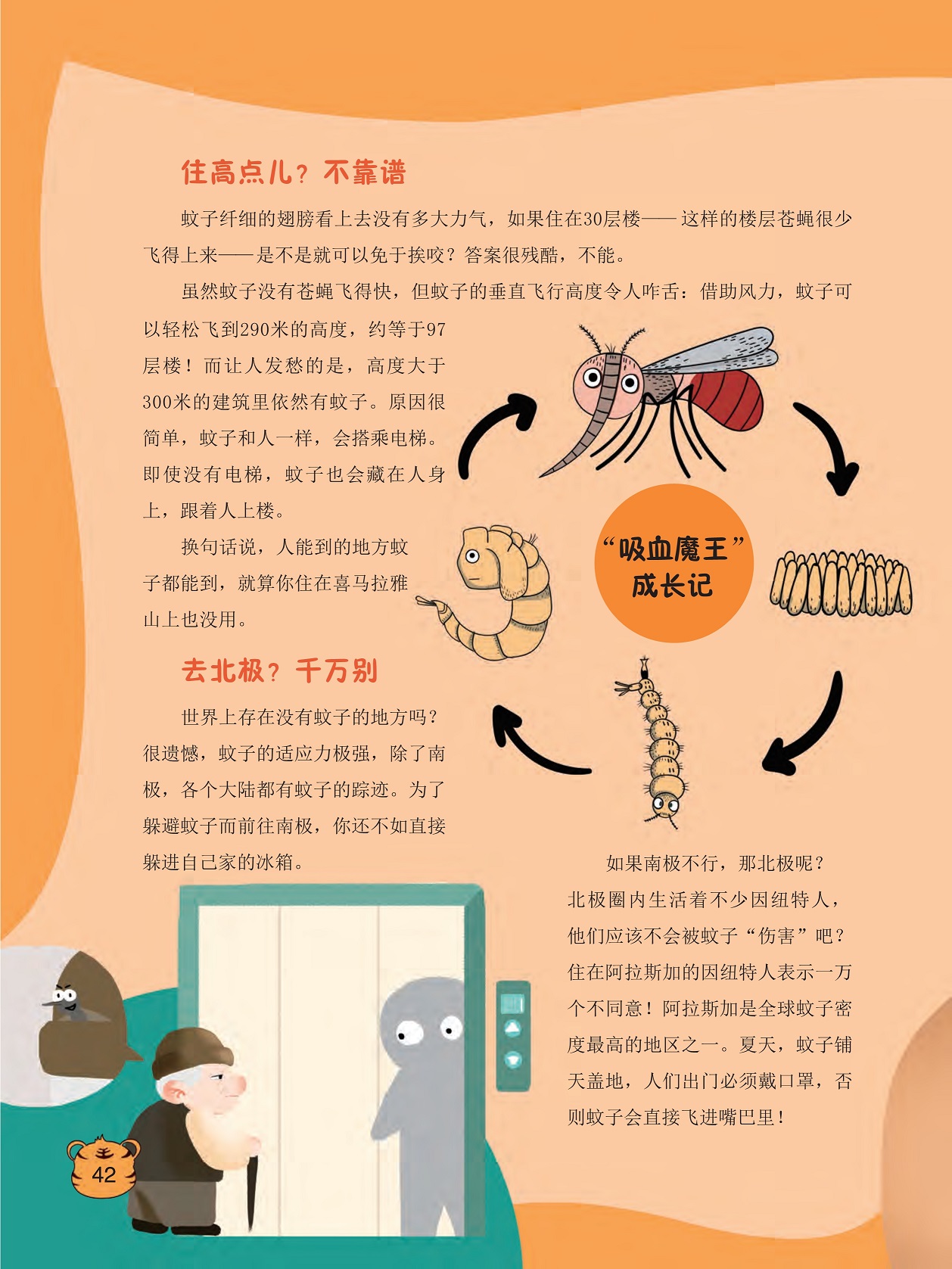 蚊子没有苍蝇飞得快,各个大陆都有蚊子的踪迹