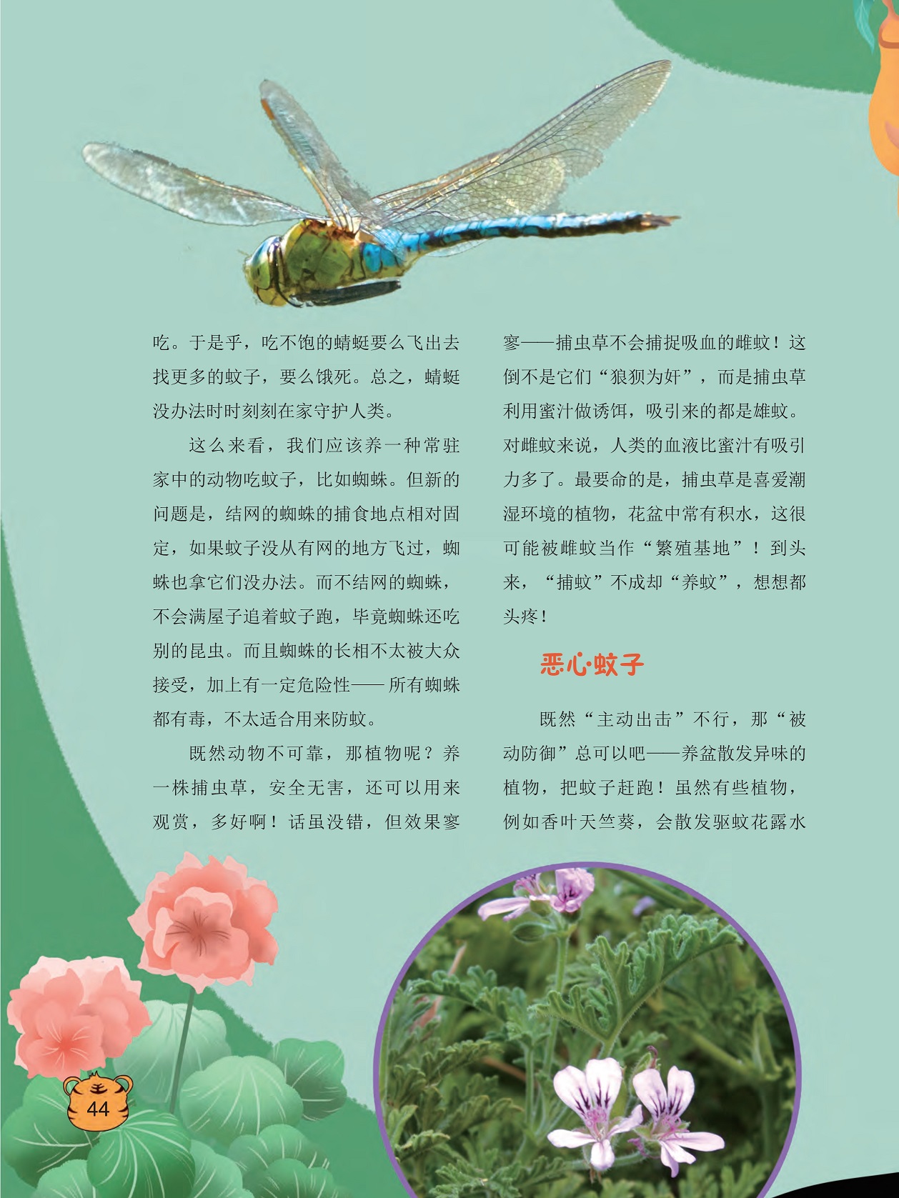 捕虫草是喜爱潮湿环境的植物,养盆散发异味的植物