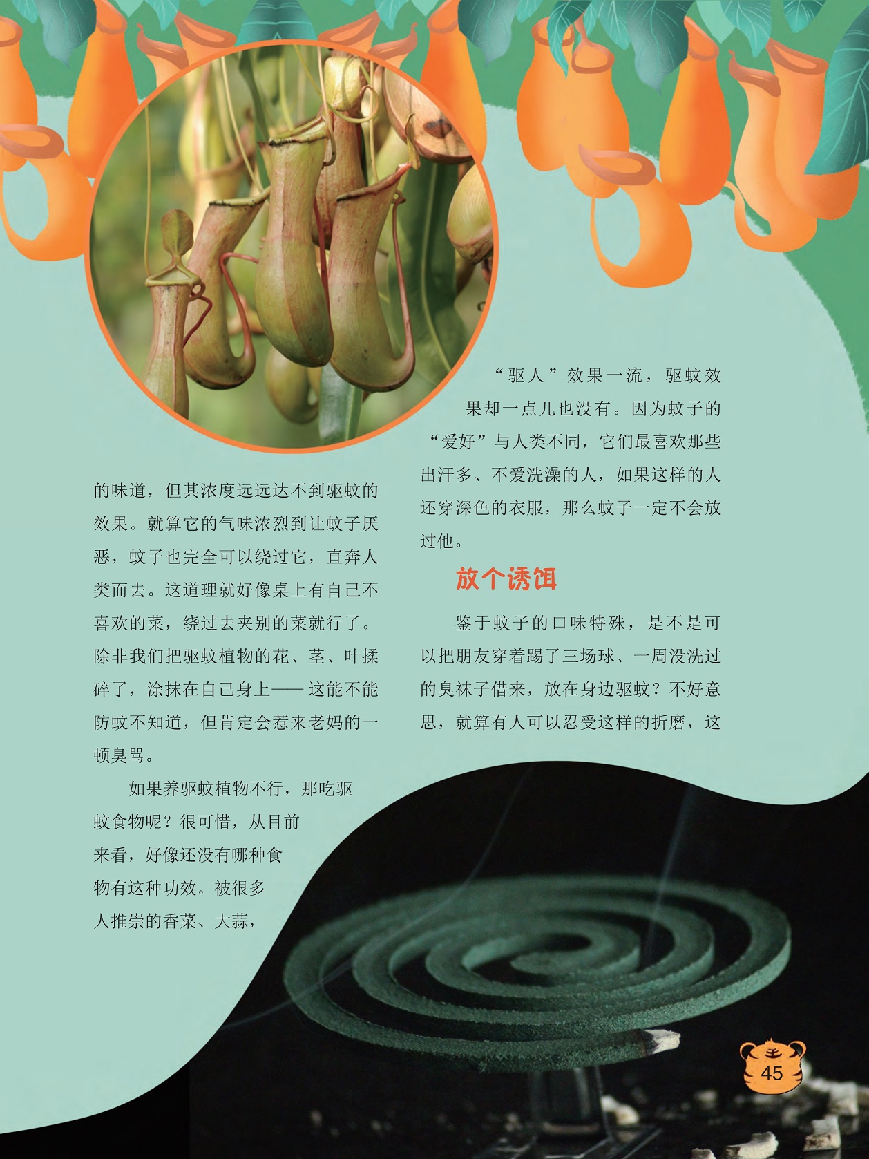 养驱蚊植物效果欠佳,蚊子最喜欢那些出汗多不爱洗澡的人