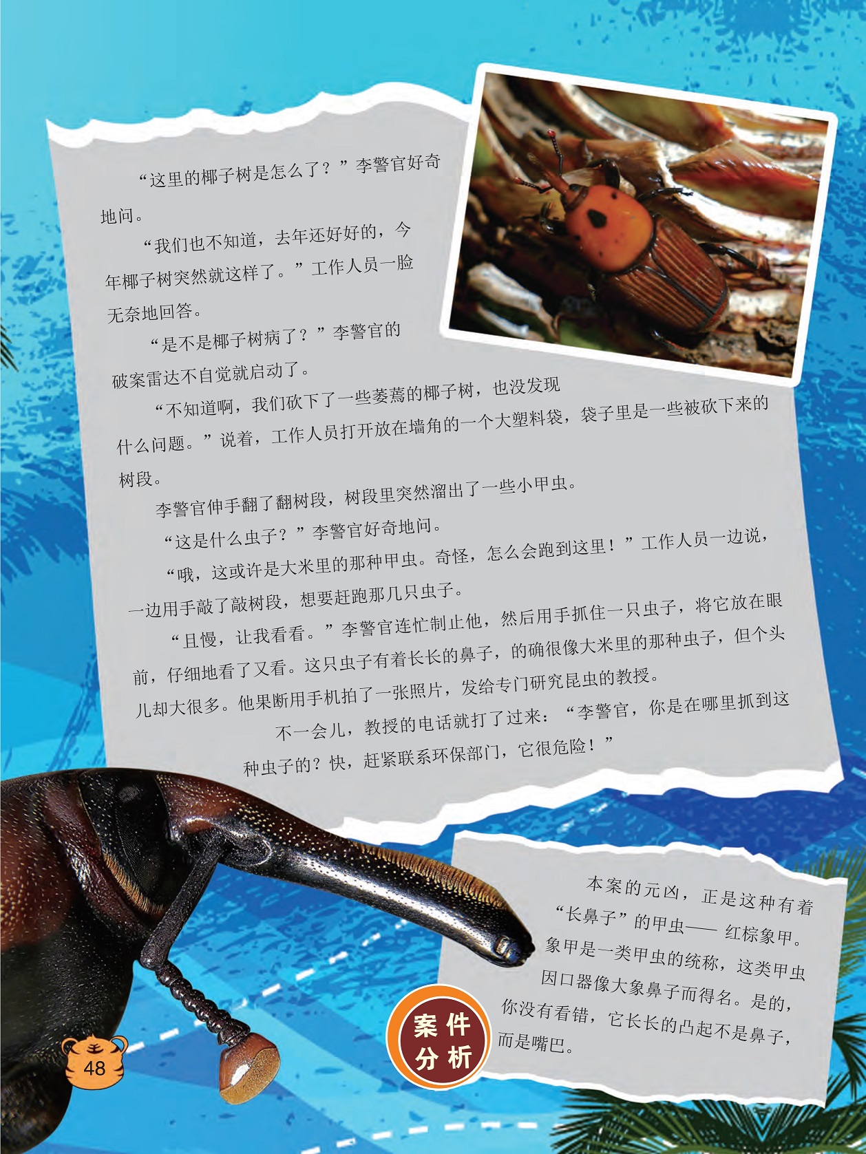 树段里溜出一些小甲虫,发照片给专门研究昆虫的教授