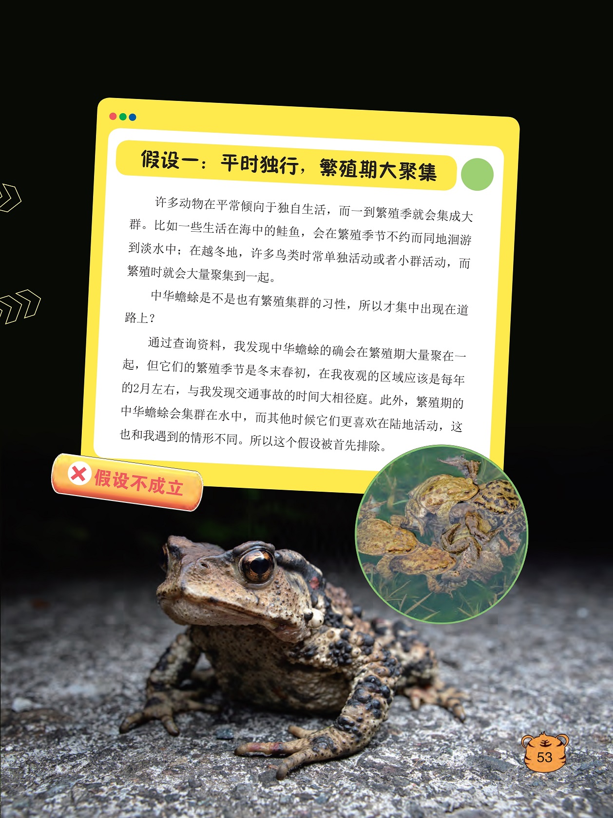 许多动物在平常倾向于独自生活,中华蟾蜍会在繁殖期大量聚在一起