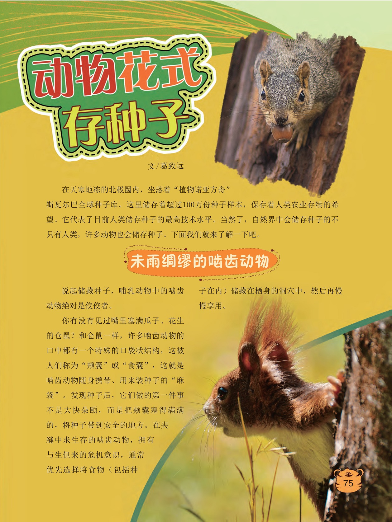 斯瓦尔巴全球种子库,人类储存种子的最高技术水平