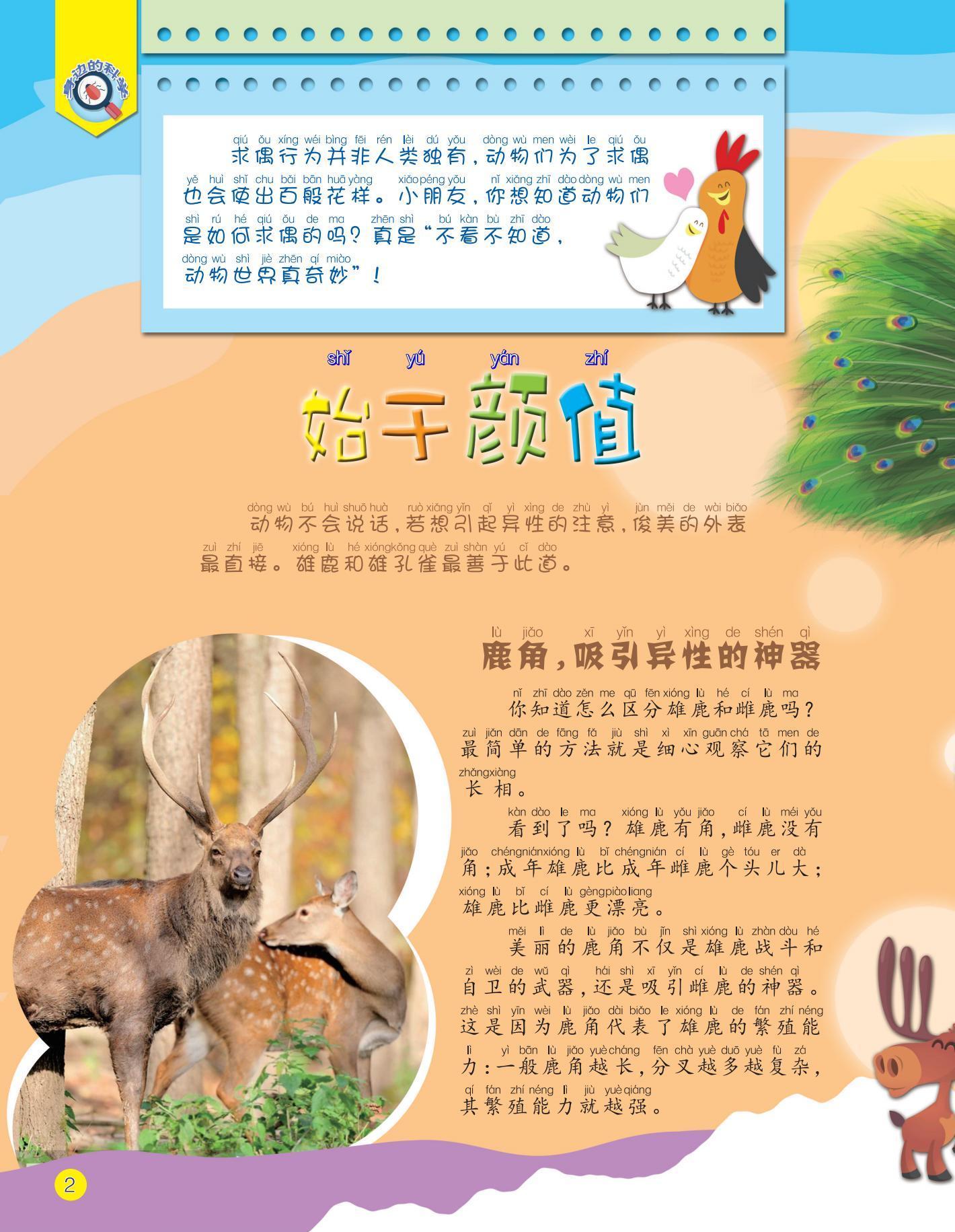 始于颜值,尾屏,麋鹿