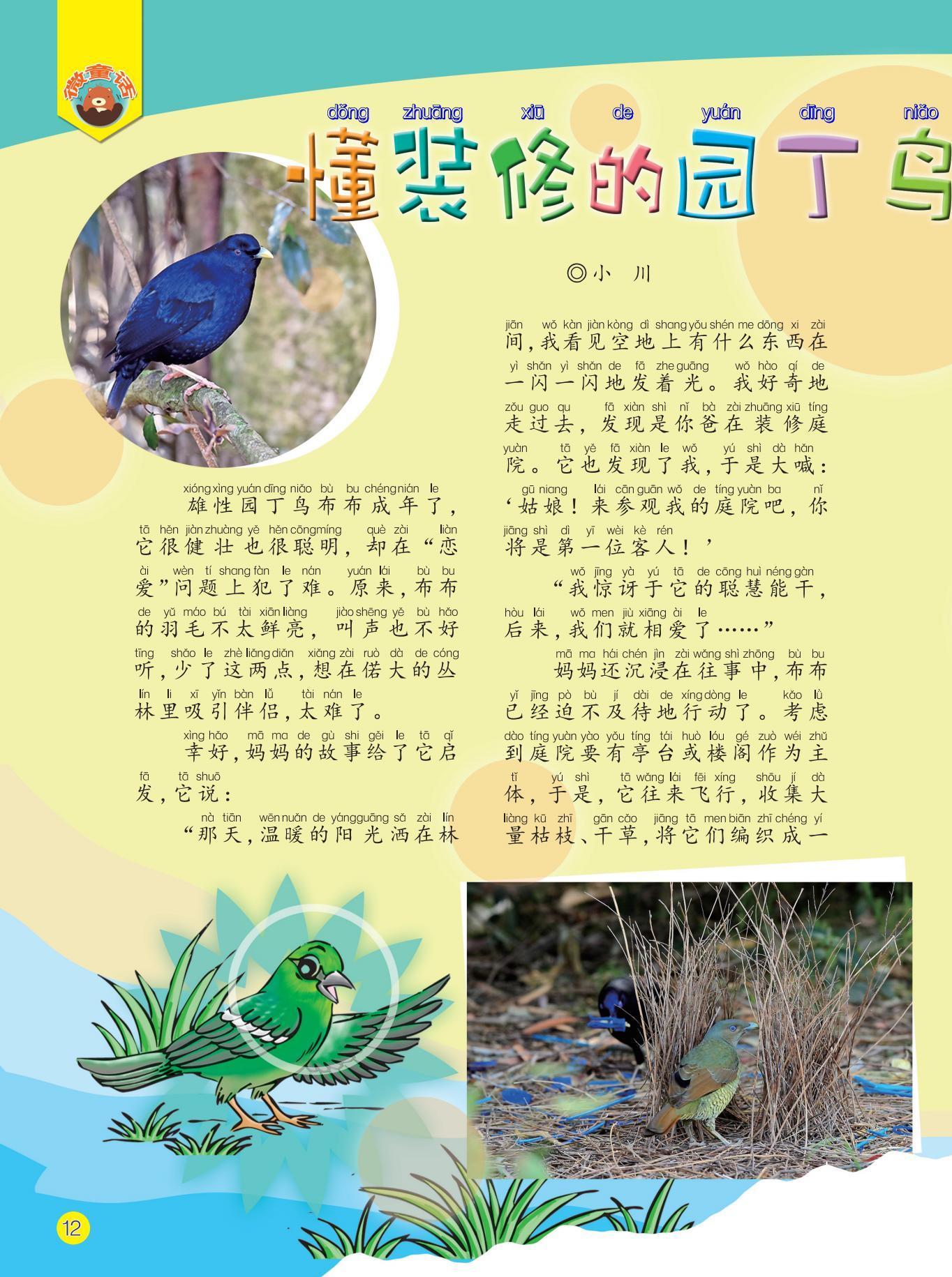 装修,聪明,阳光,相爱