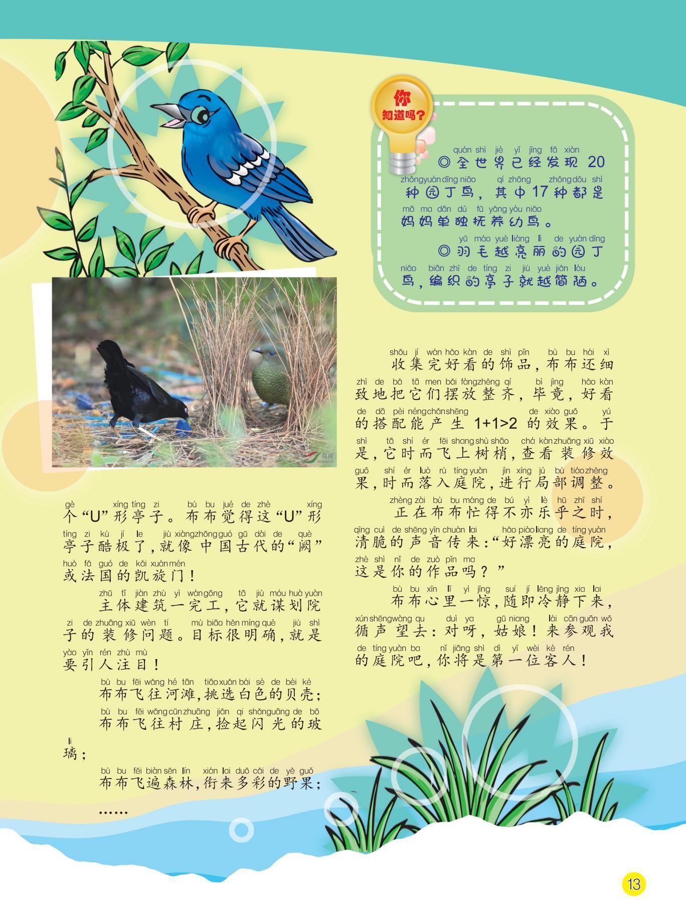 布布,发现,挑选,调整