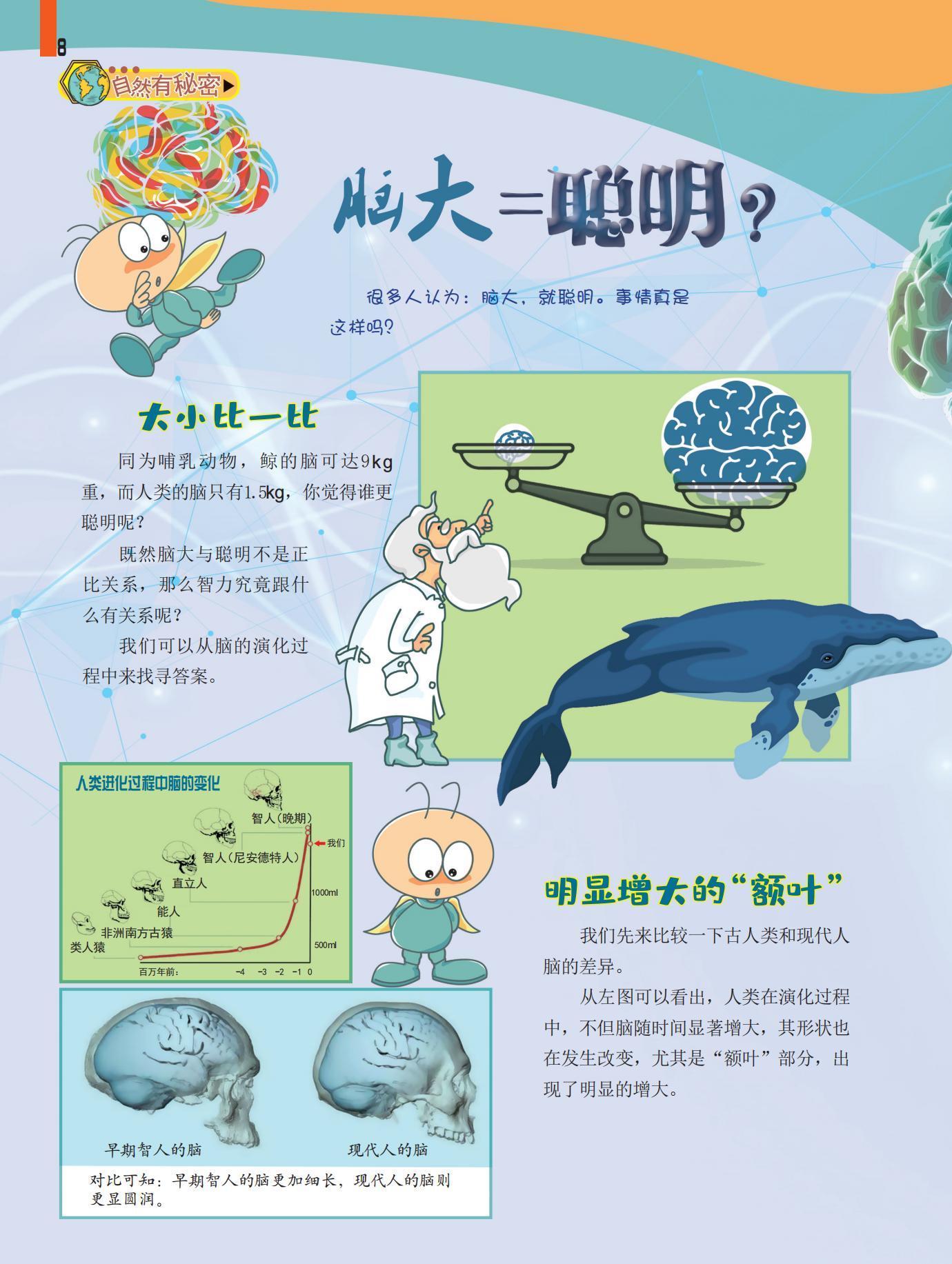 脑大,聪明,哺乳动物,额叶 脑大,聪明,哺乳动物,额叶