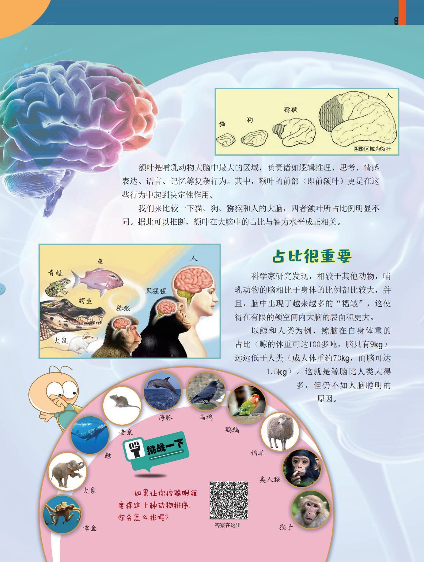 逻辑思维,记忆,智力水平,占比,鲸 逻辑思维,记忆,智力水平,占比,鲸