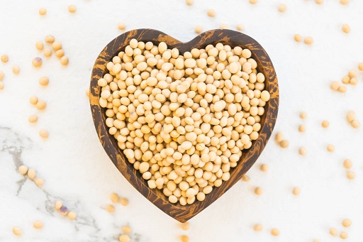 哪种蛋白质含量高,优选运动营养食品