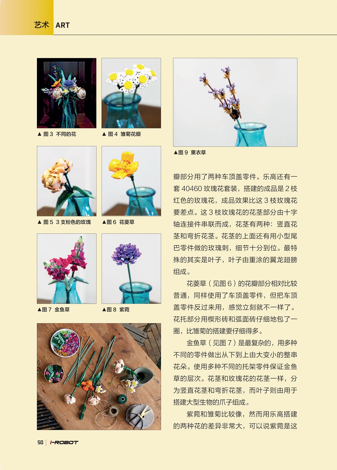 花菱草的花瓣部分相对比较普通,金鱼草是最复杂的