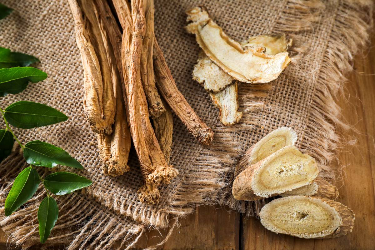 黄芪,中药,防止心慌心悸