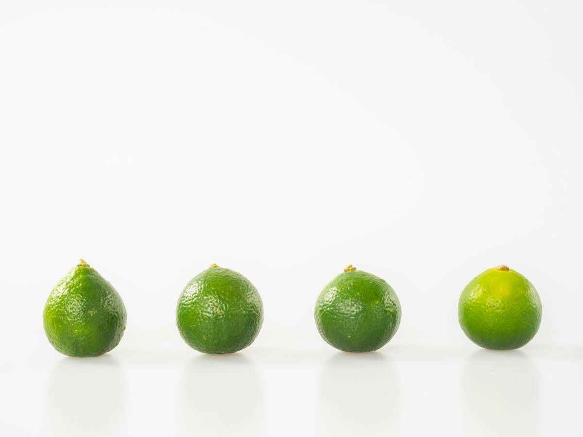 长肌肉,利五脏,益气轻身 长肌肉,利五脏,益气轻身