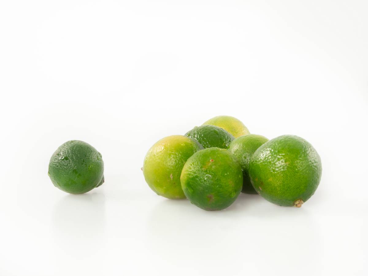 破气消积,化痰散痞 破气消积,化痰散痞