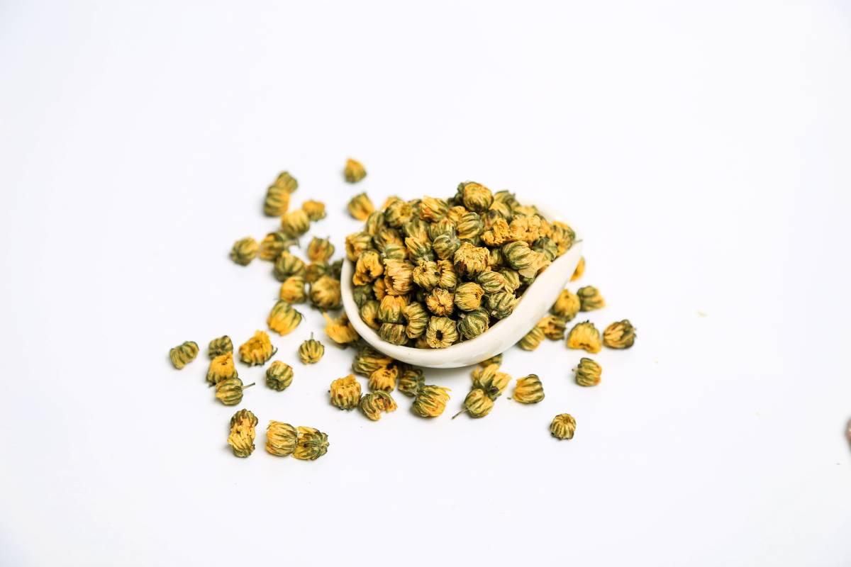 菊花,清利头目,明目 菊花,清利头目,明目