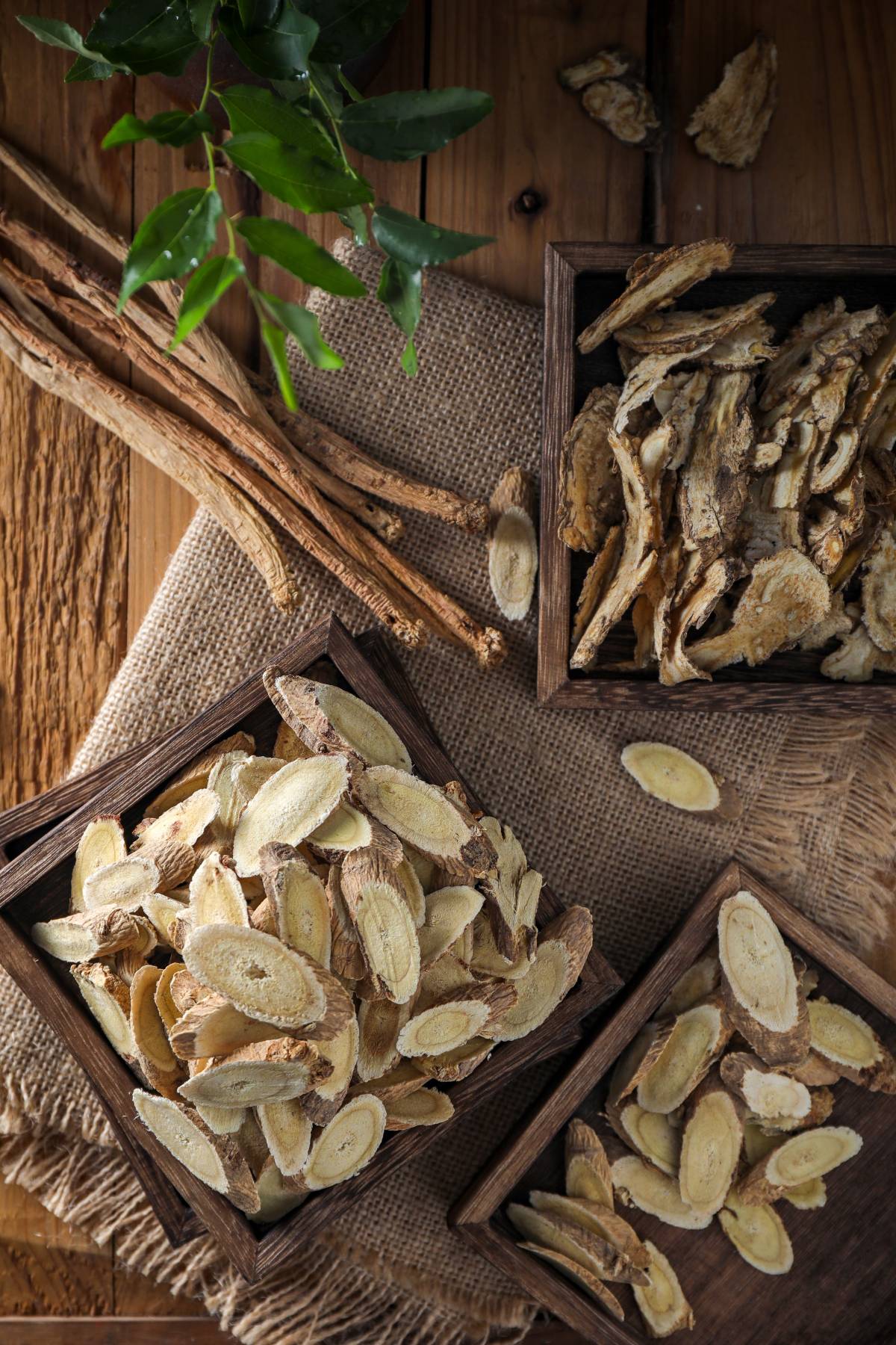 黄芪,君药,补气