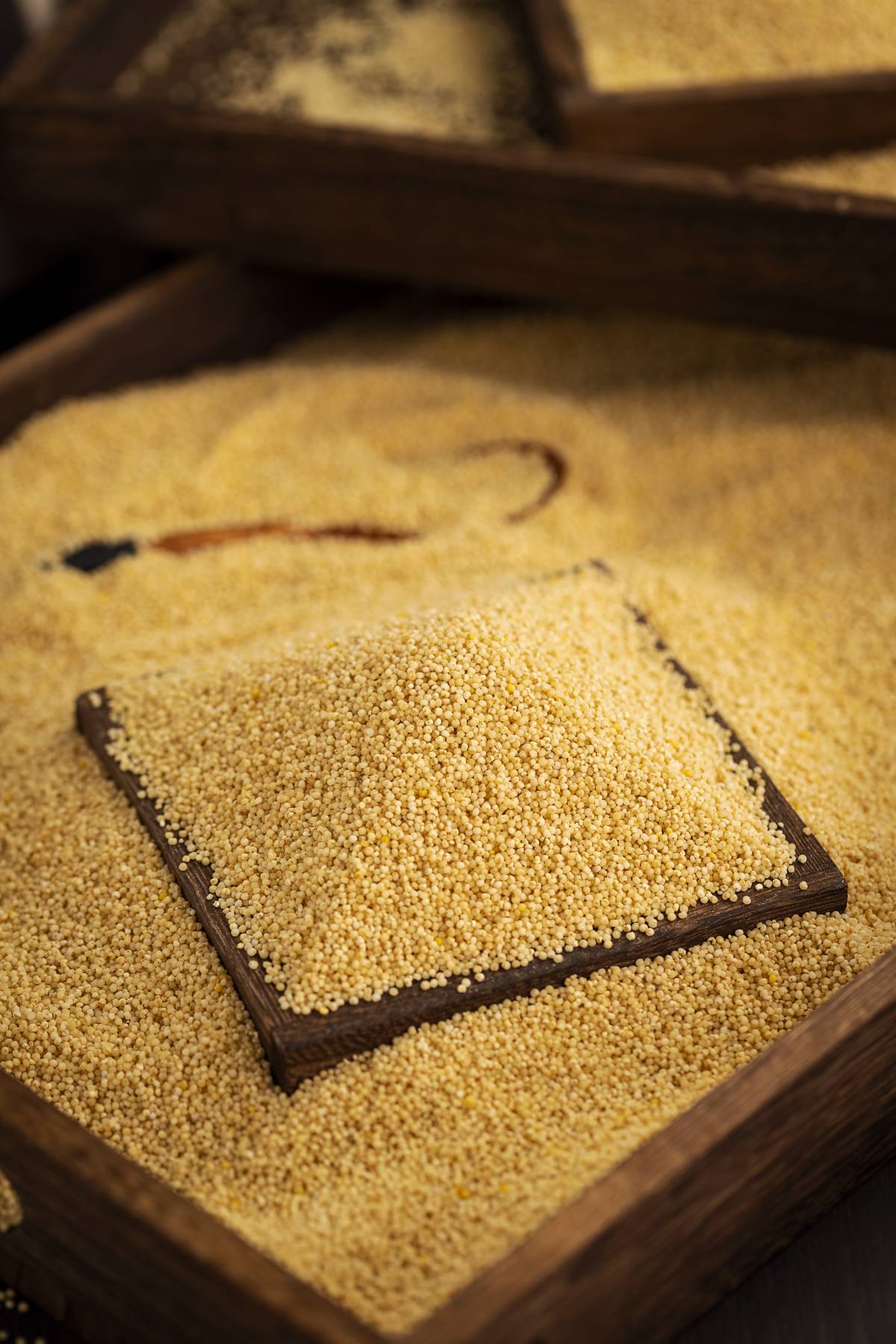 小米,温中和胃,养精气 小米,温中和胃,养精气