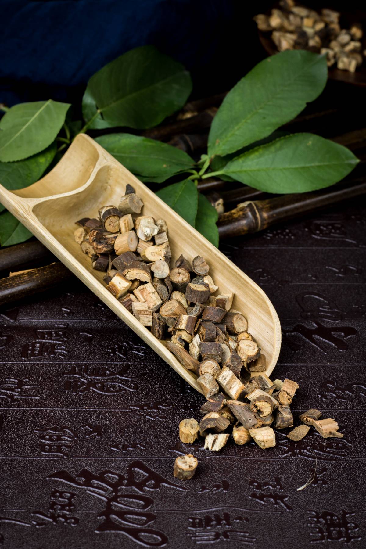 炙甘草,心动悸,阴阳两虚