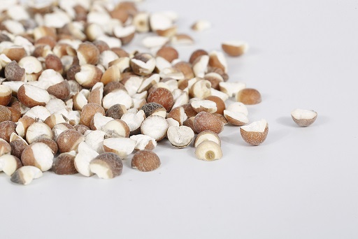 芡实能健脾补肾，最适合秋天