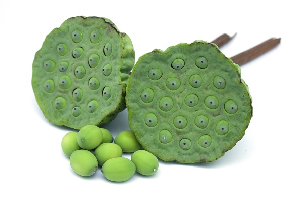 莲房生品，这样制得