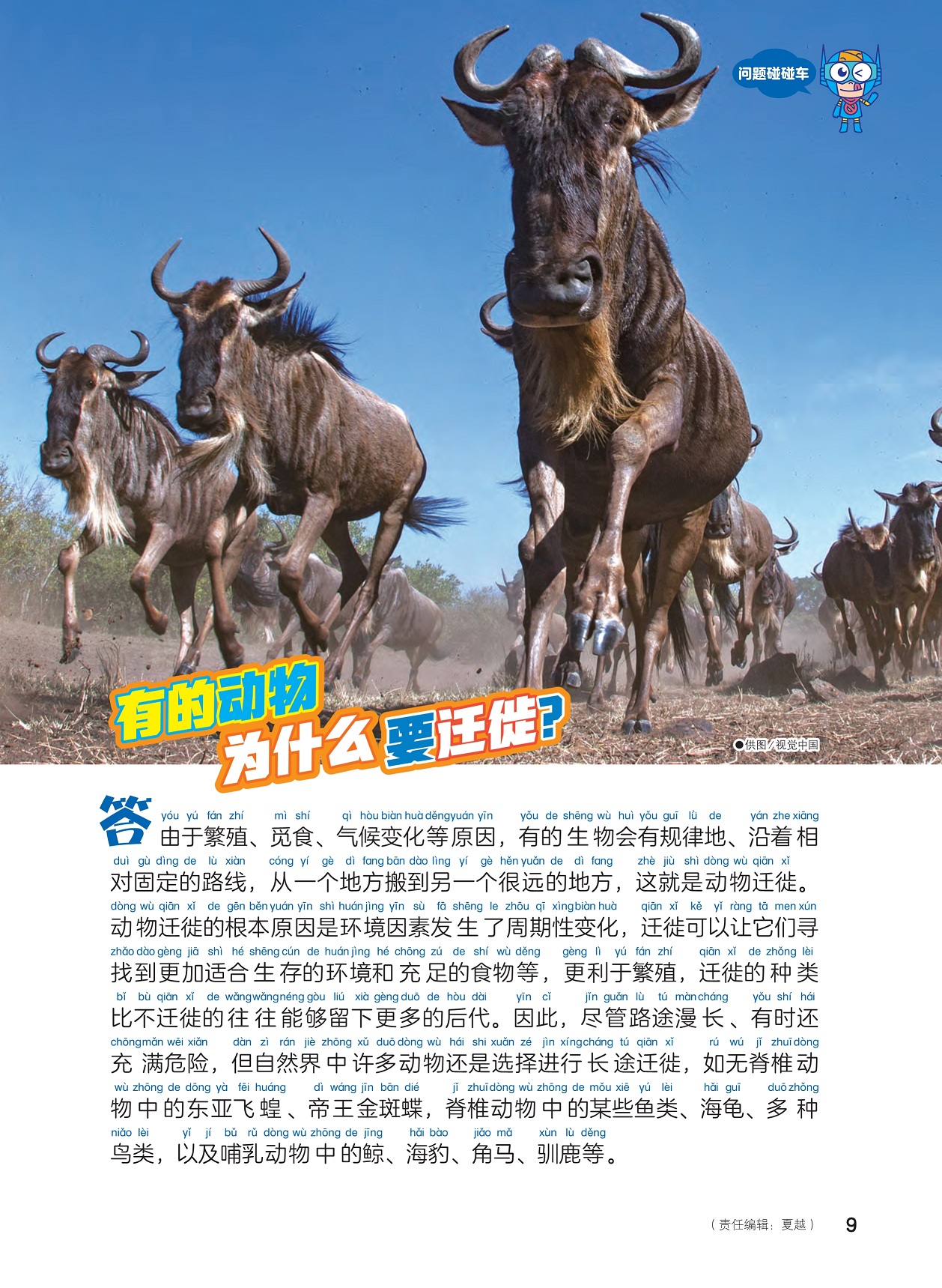 动物迁徙的原因,许多动物选择长途迁徙