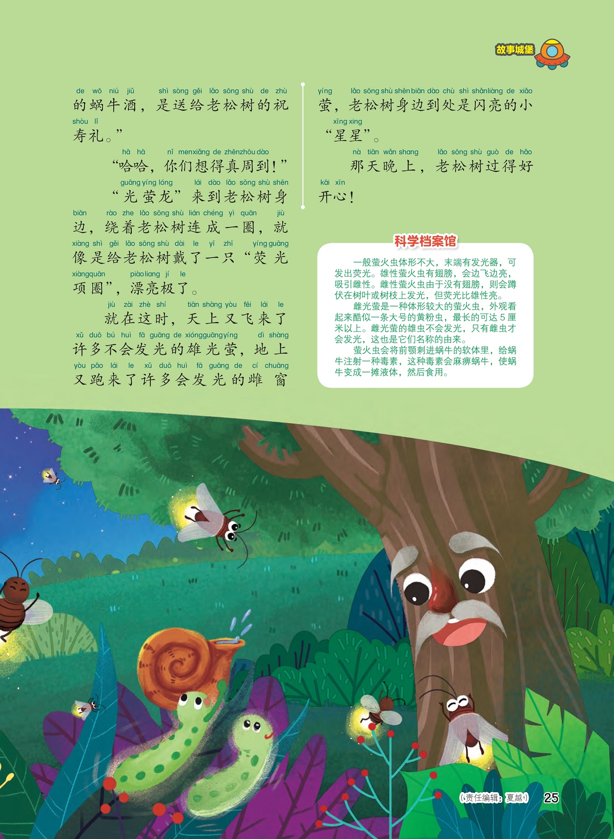 萤火虫的档案简介,萤火虫食用蜗牛