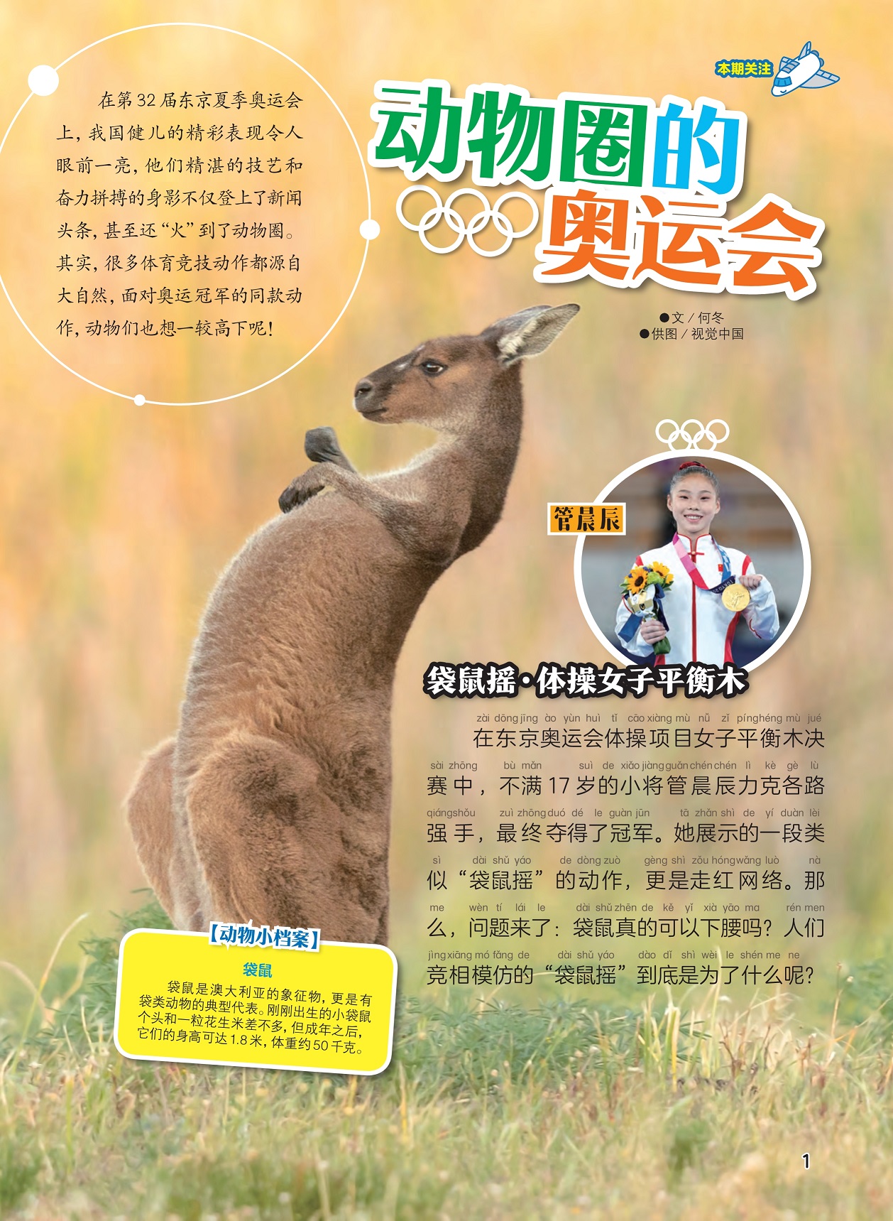 很多体育竞技来自大自然,体操女子平衡木