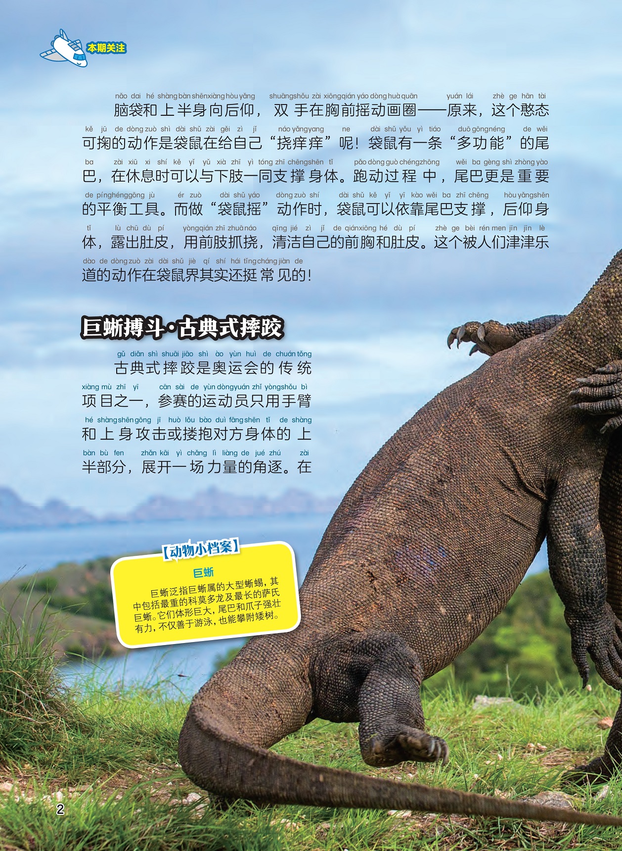 袋鼠摇动作的来源,古典式摔跤来源于巨蜥搏斗