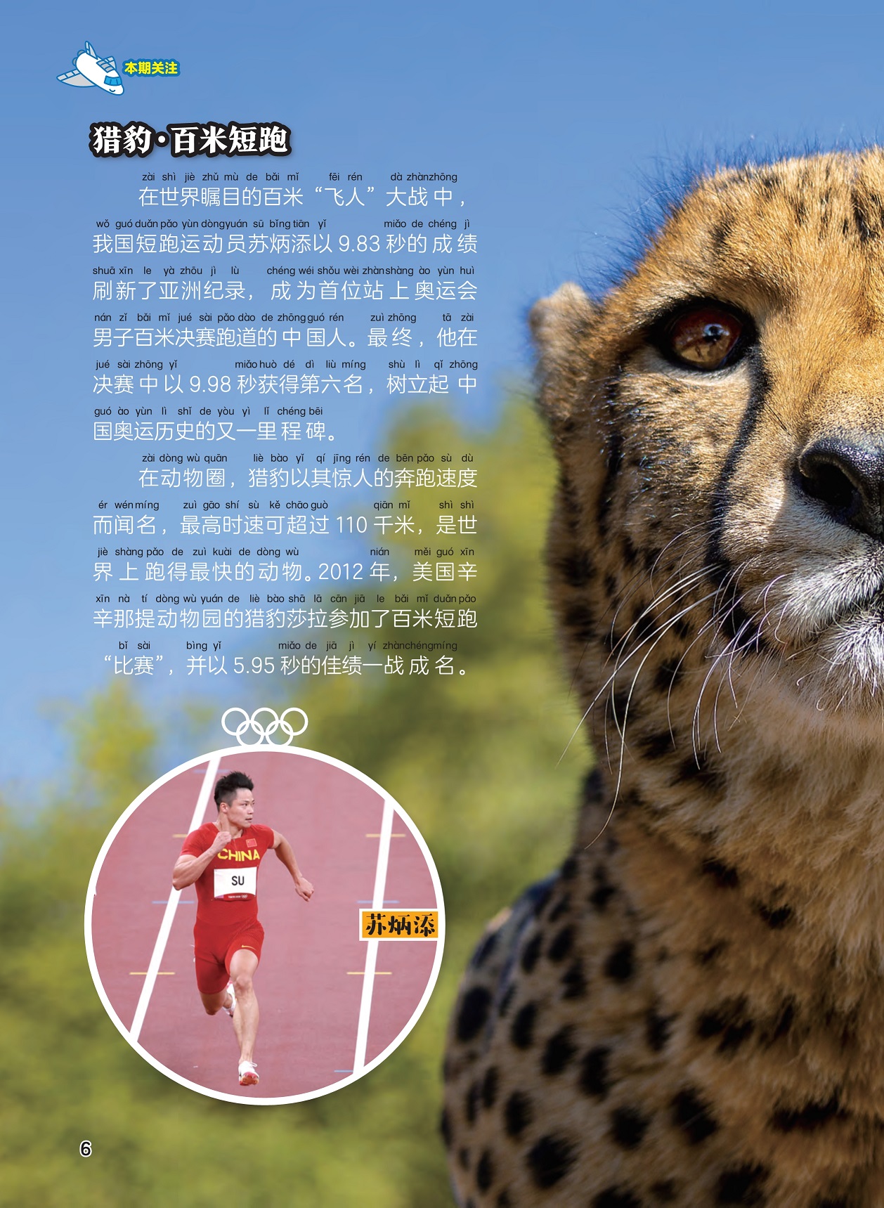 百米赛跑和猎豹奔跑类似,猎豹是世界上跑得最快的动物