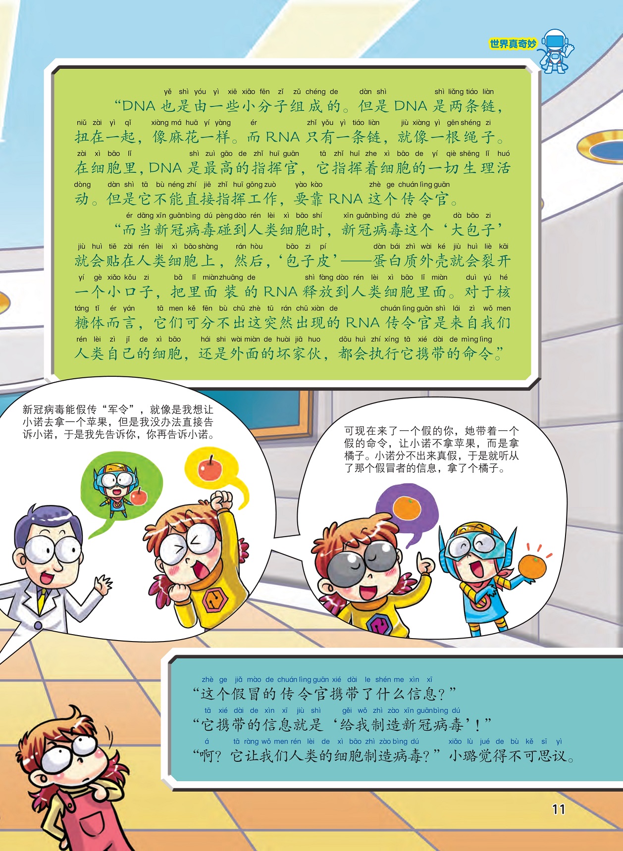 DNA是细胞最高指挥官,新冠病毒RNA释放到人类细胞里