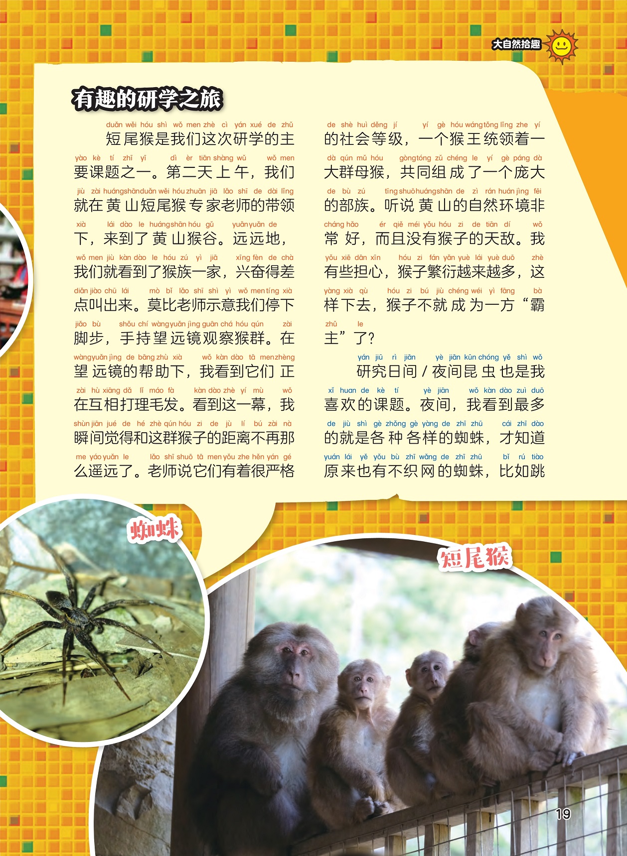 有趣的研学之旅,研究日间和夜间的昆虫