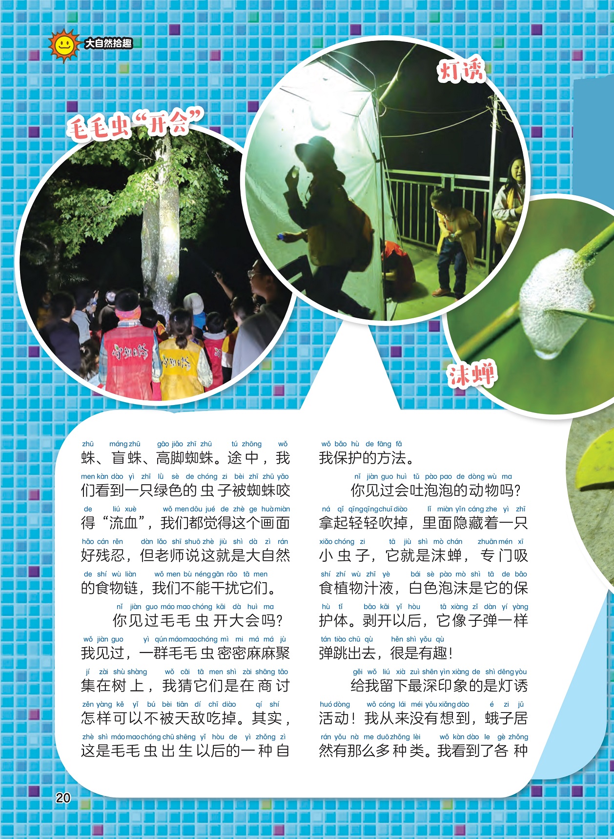 毛毛虫的自我保护,灯诱活动留下深刻印象