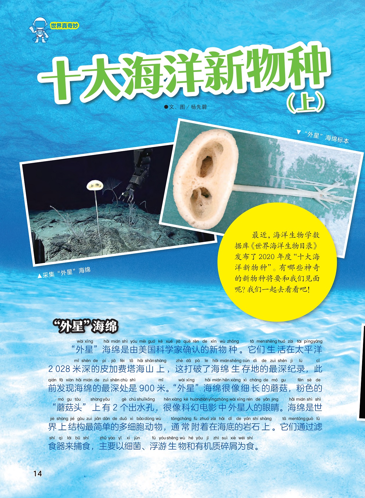 “外星”海绵被确认为新物种,海绵是世界上结构最简单的多细胞动物