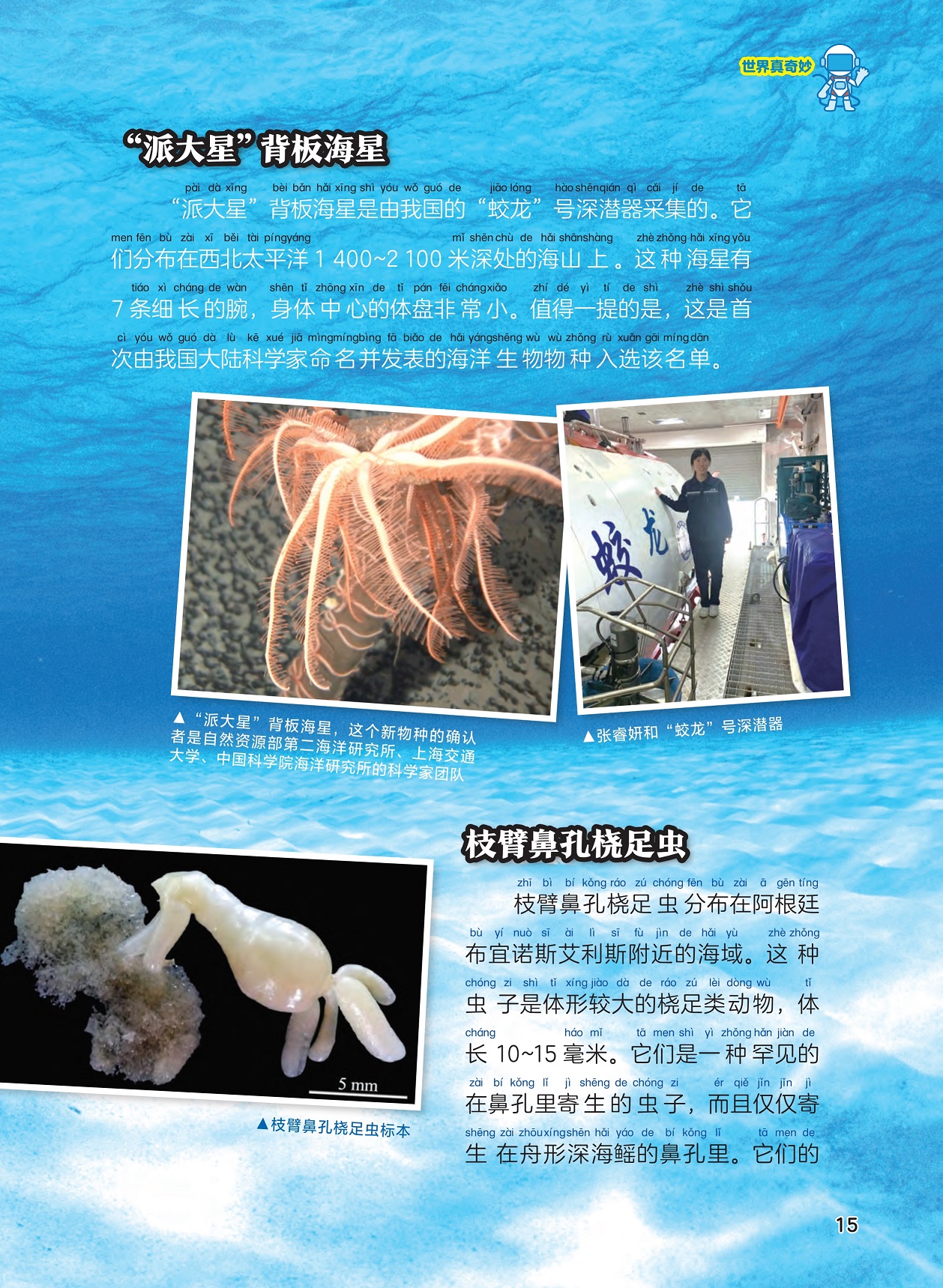 “派大星”背板海星,枝臂鼻孔桡足虫