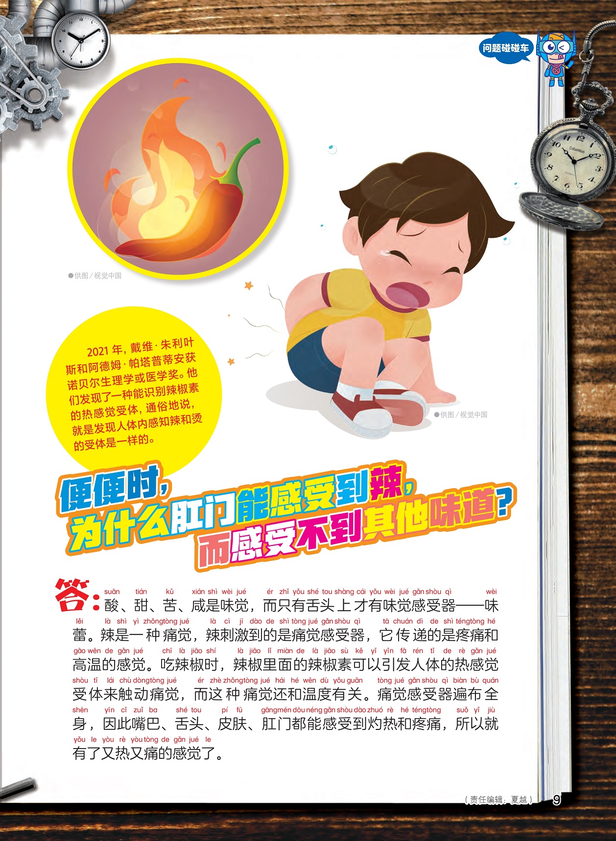 发现识别辣椒素的热觉感受体,痛觉感受器遍布全身