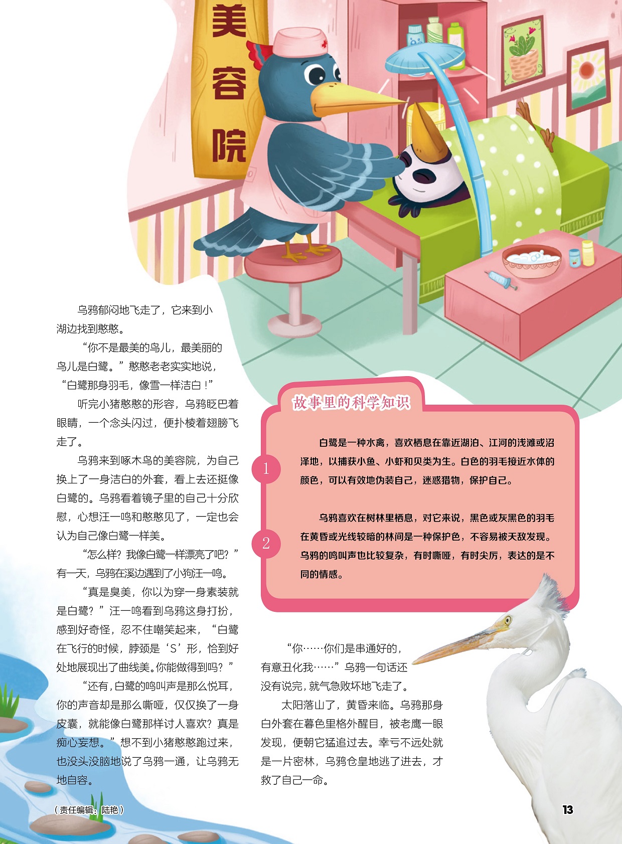 乌鸦和白鹭的美丽竞争,乌鸦喜欢在树林里栖息