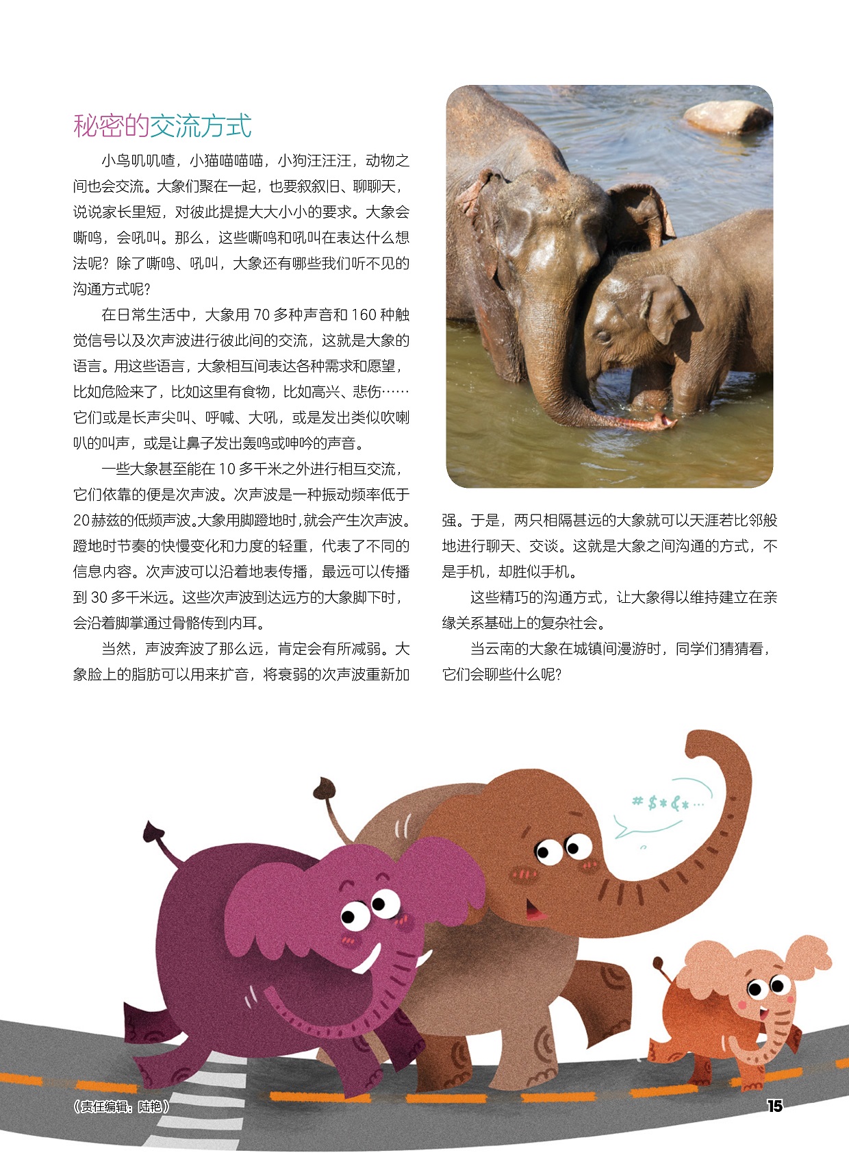 秘密的交流方式,旅途中的大象会聊些什么