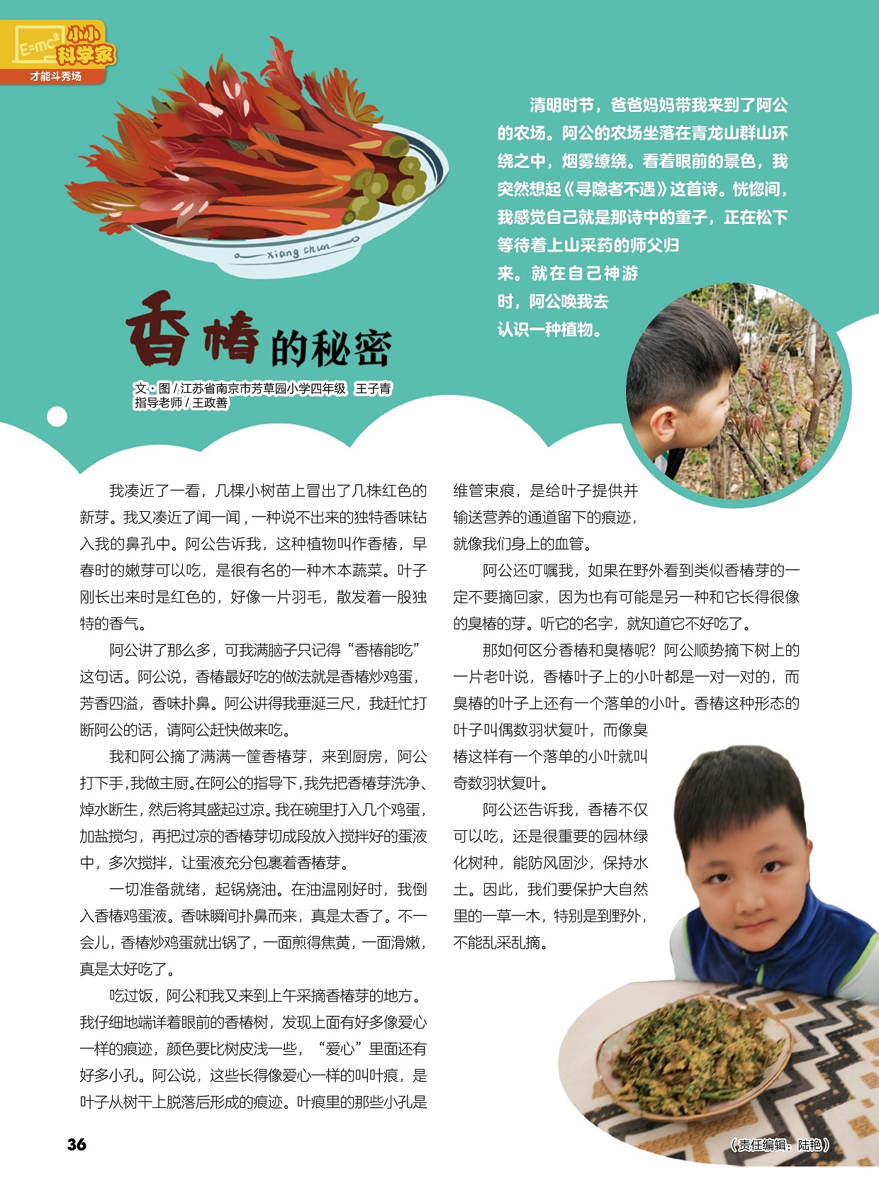 香椿最好吃的做法就是香椿炒鸡蛋,重要的园林绿化树种